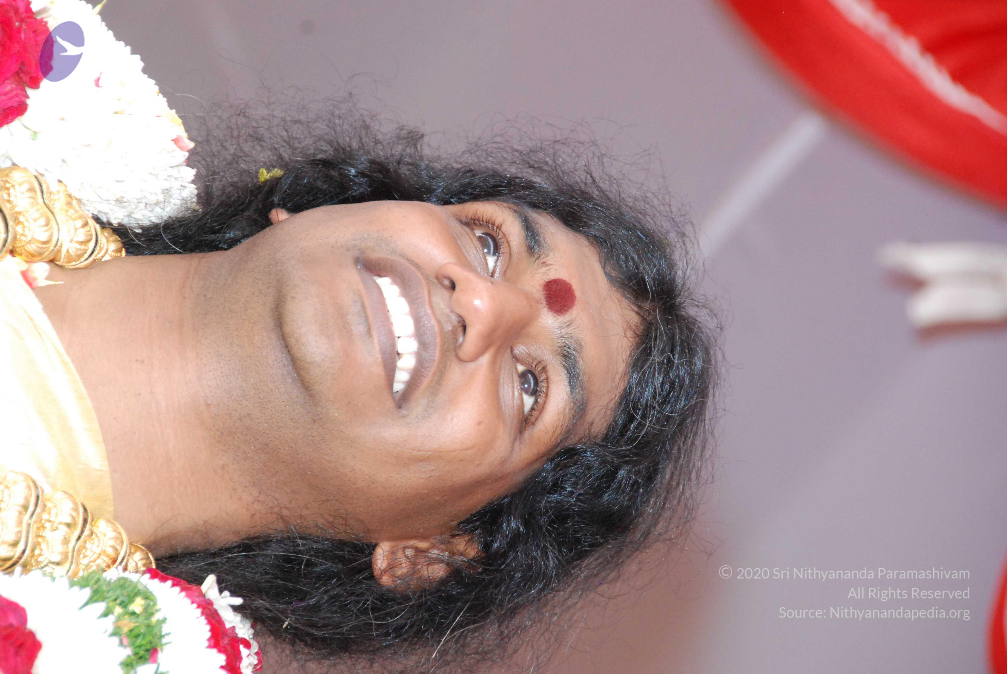 20100101_Photo_1347_DSC_2221_CMP_WM