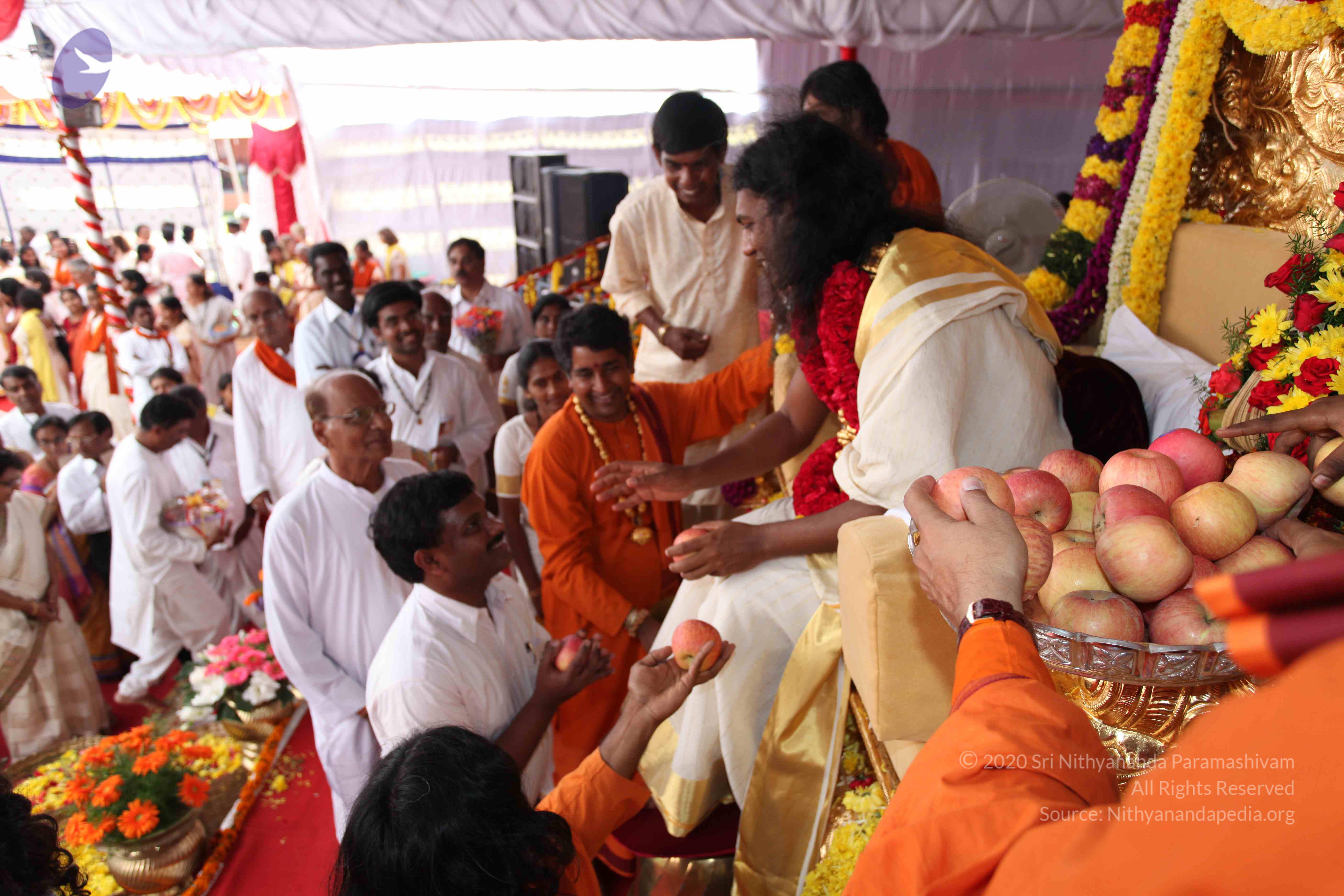 20100101_Photo_1348_IMG_5091_CMP_WM