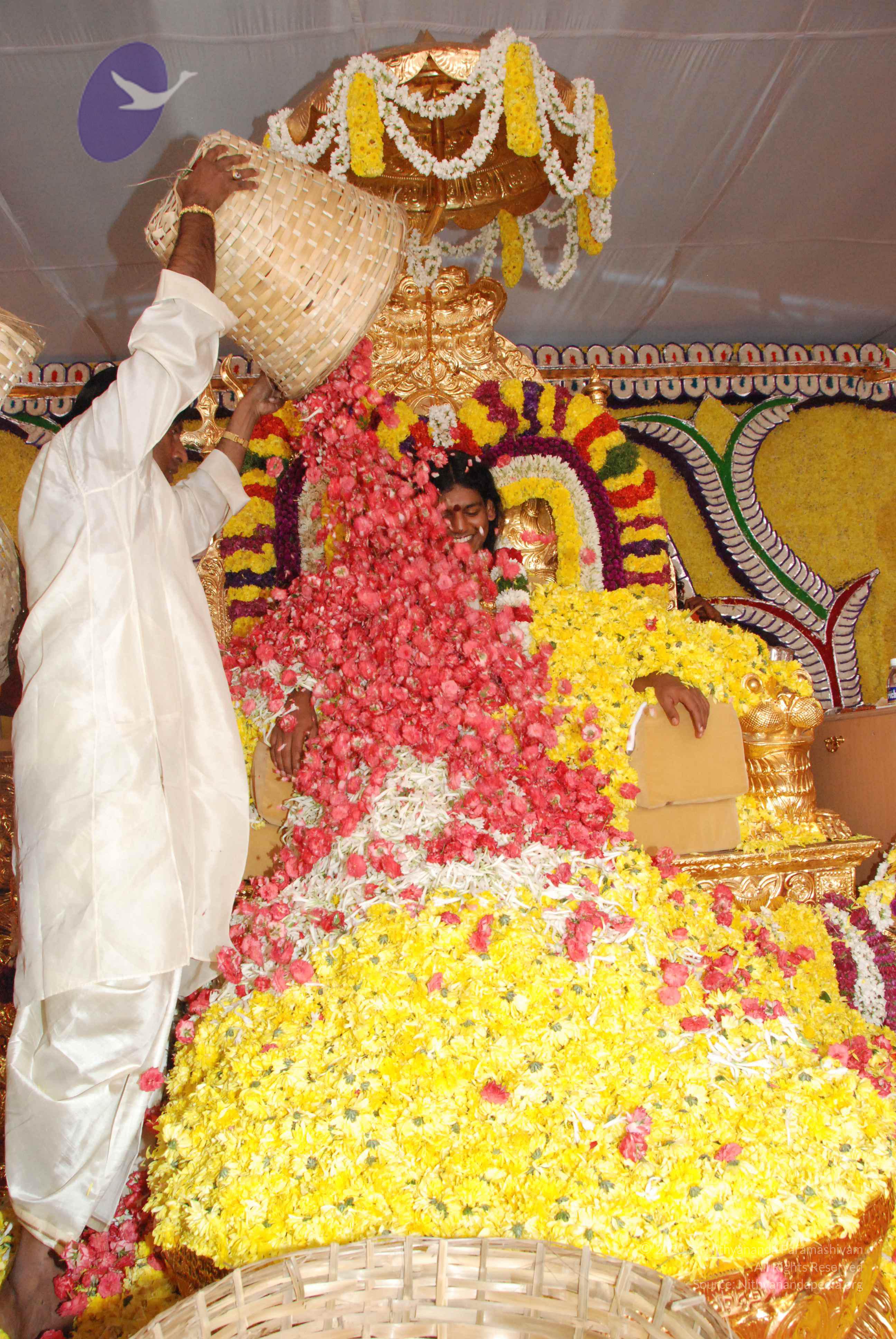 20100101_Photo_1360_DSC_2163_CMP_WM