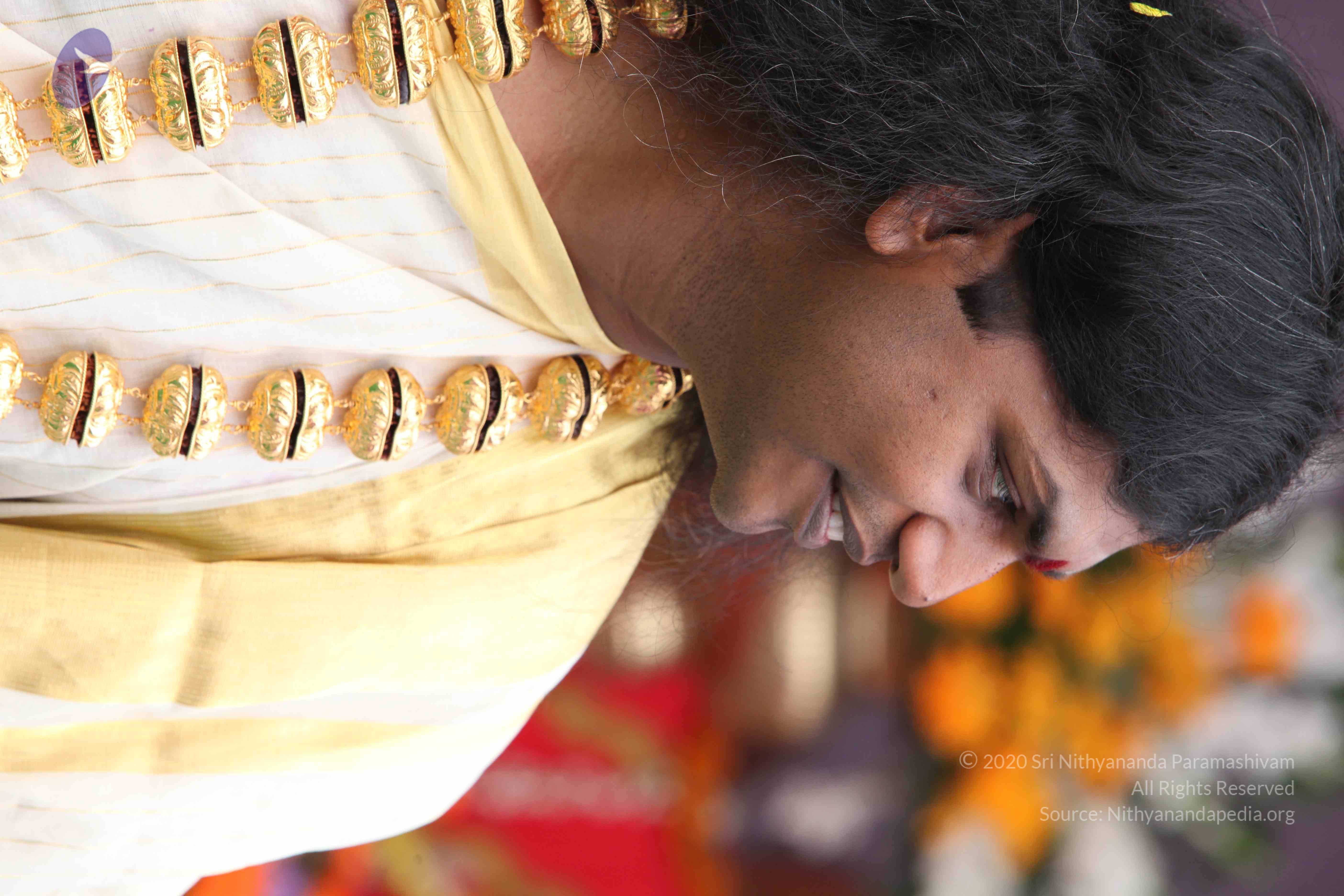 20100101_Photo_1375_IMG_4768_CMP_WM