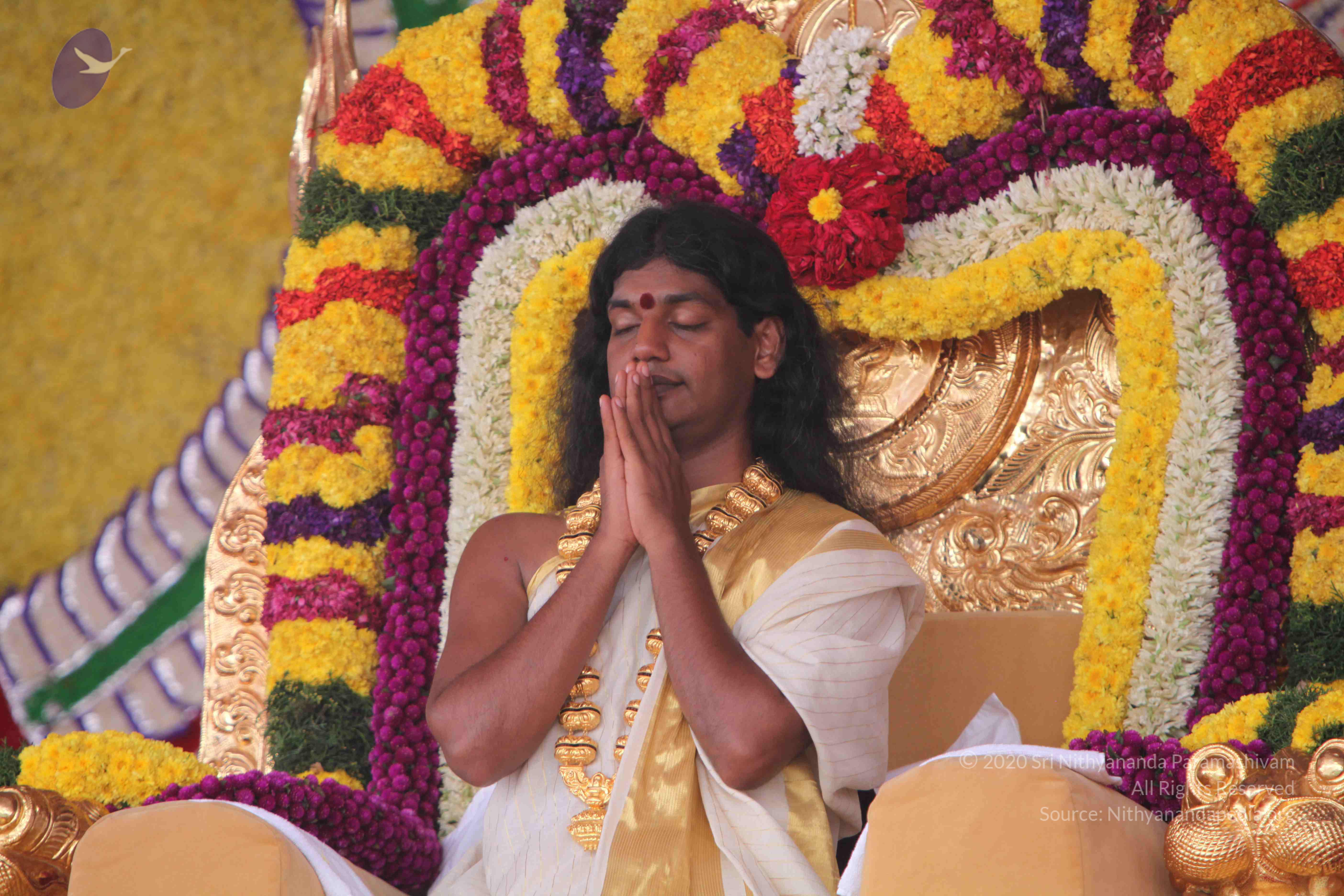 20100101_Photo_1381_IMG_4847_CMP_WM