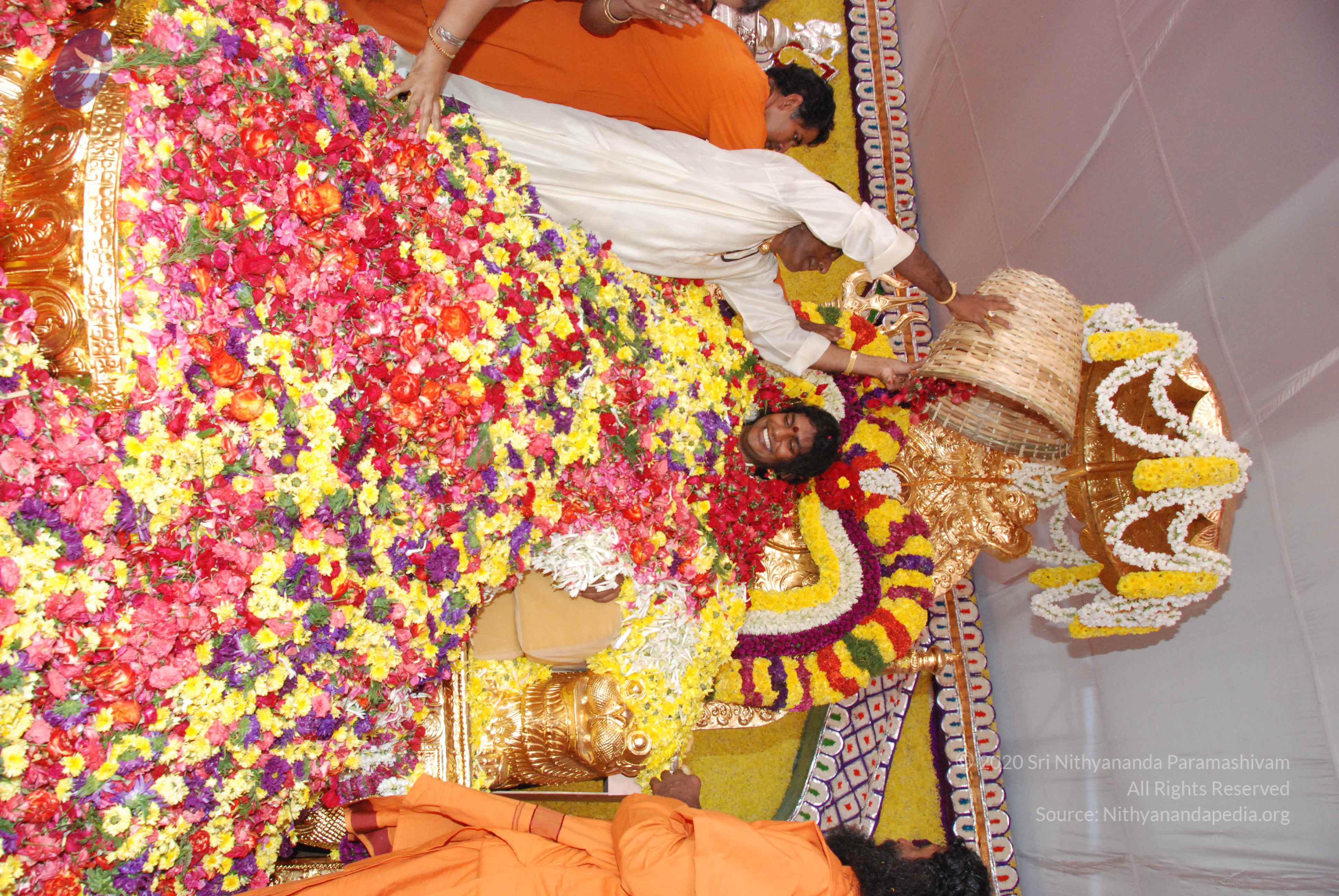 20100101_Photo_1388_DSC_2199_CMP_WM