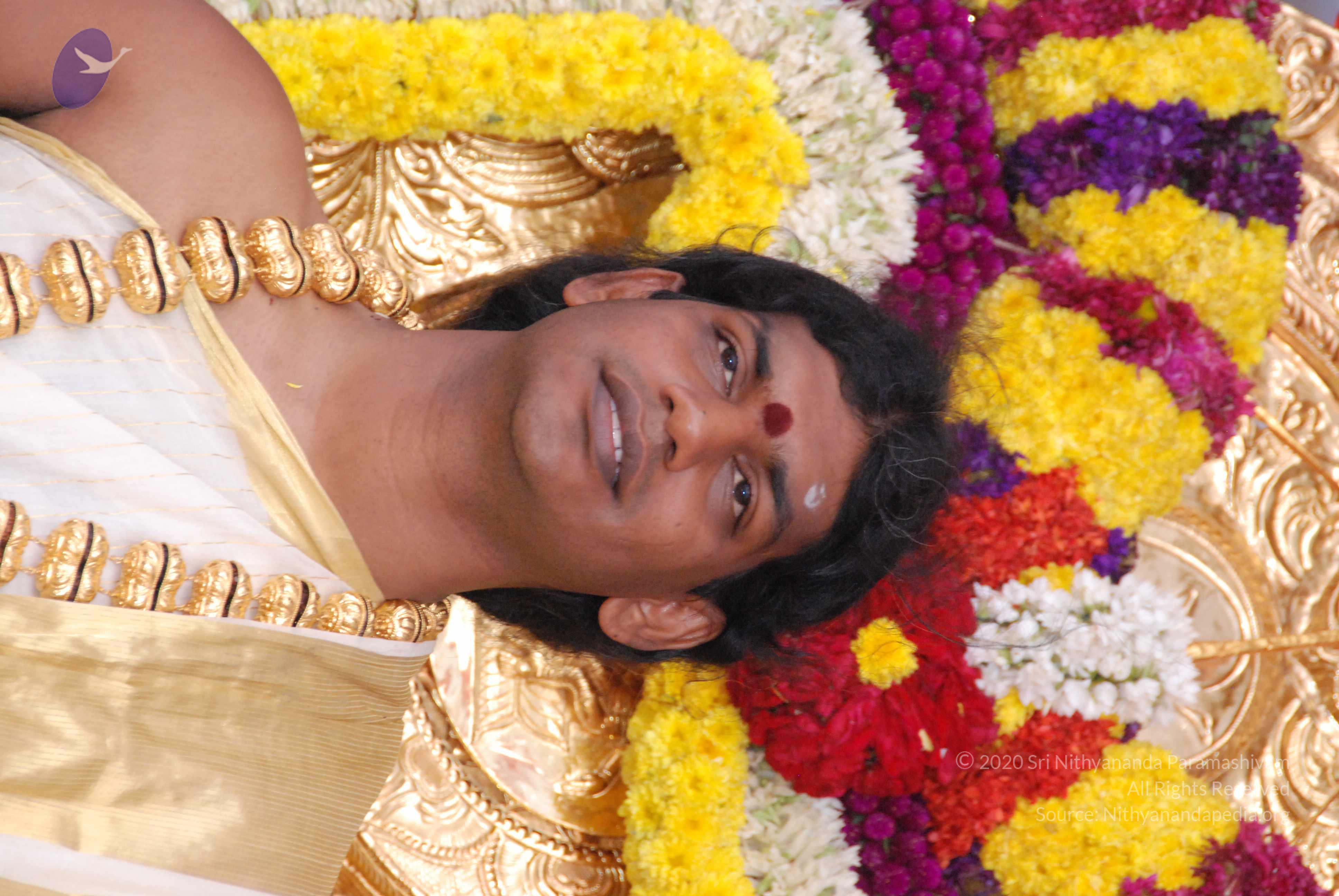 20100101_Photo_1395_DSC_2292_CMP_WM