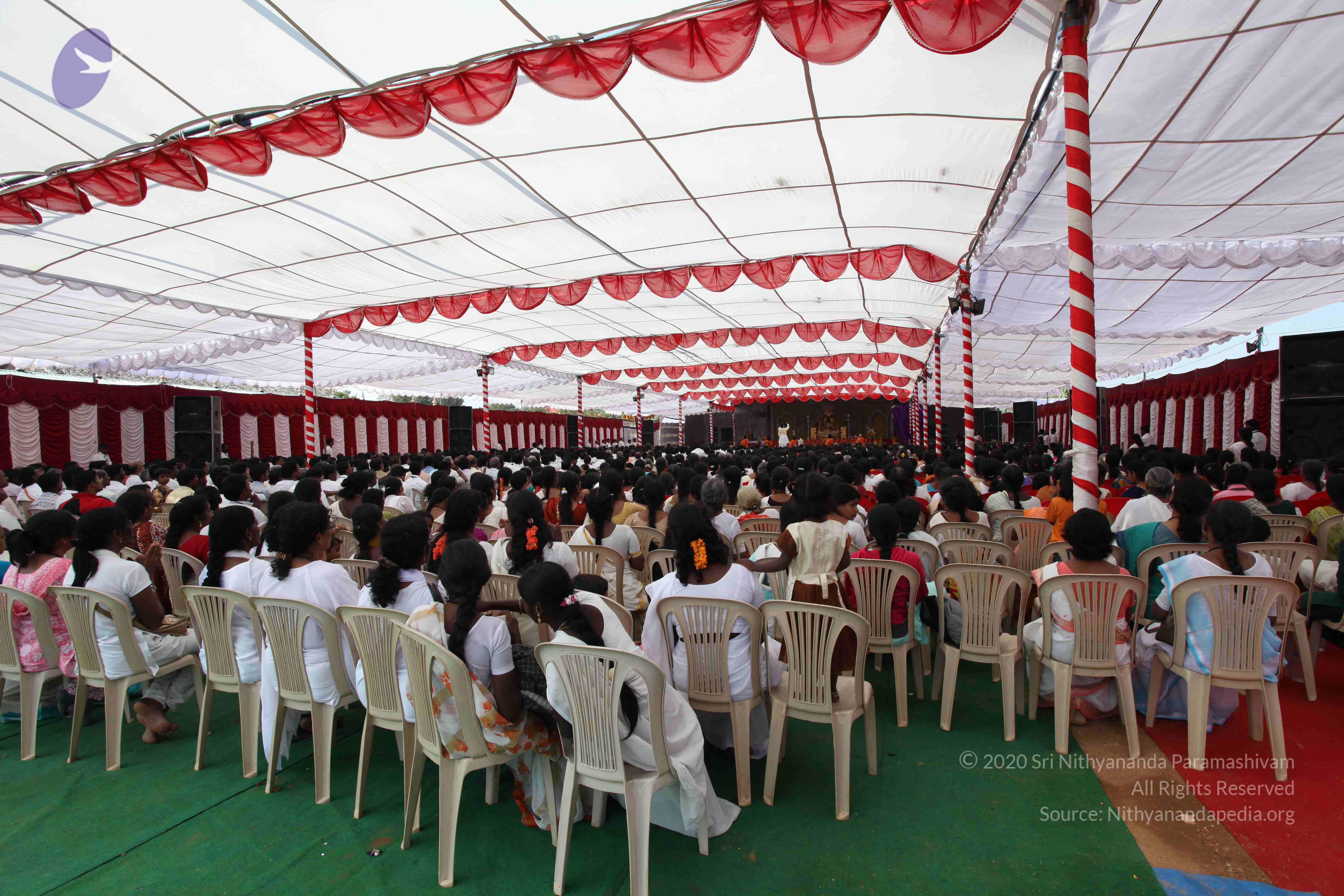 20100101_Photo_1398_IMG_4839_CMP_WM