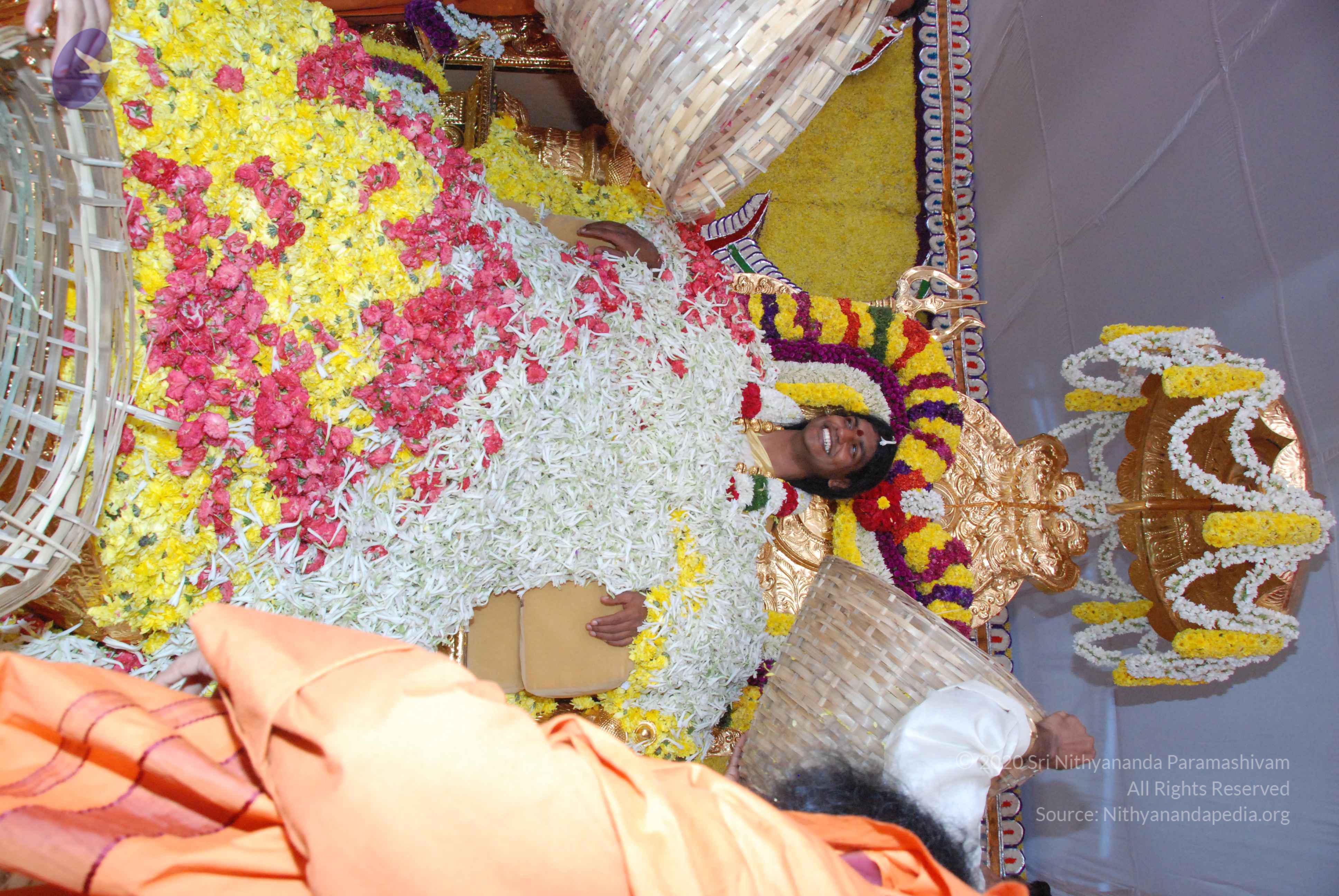 20100101_Photo_1402_DSC_2166_CMP_WM