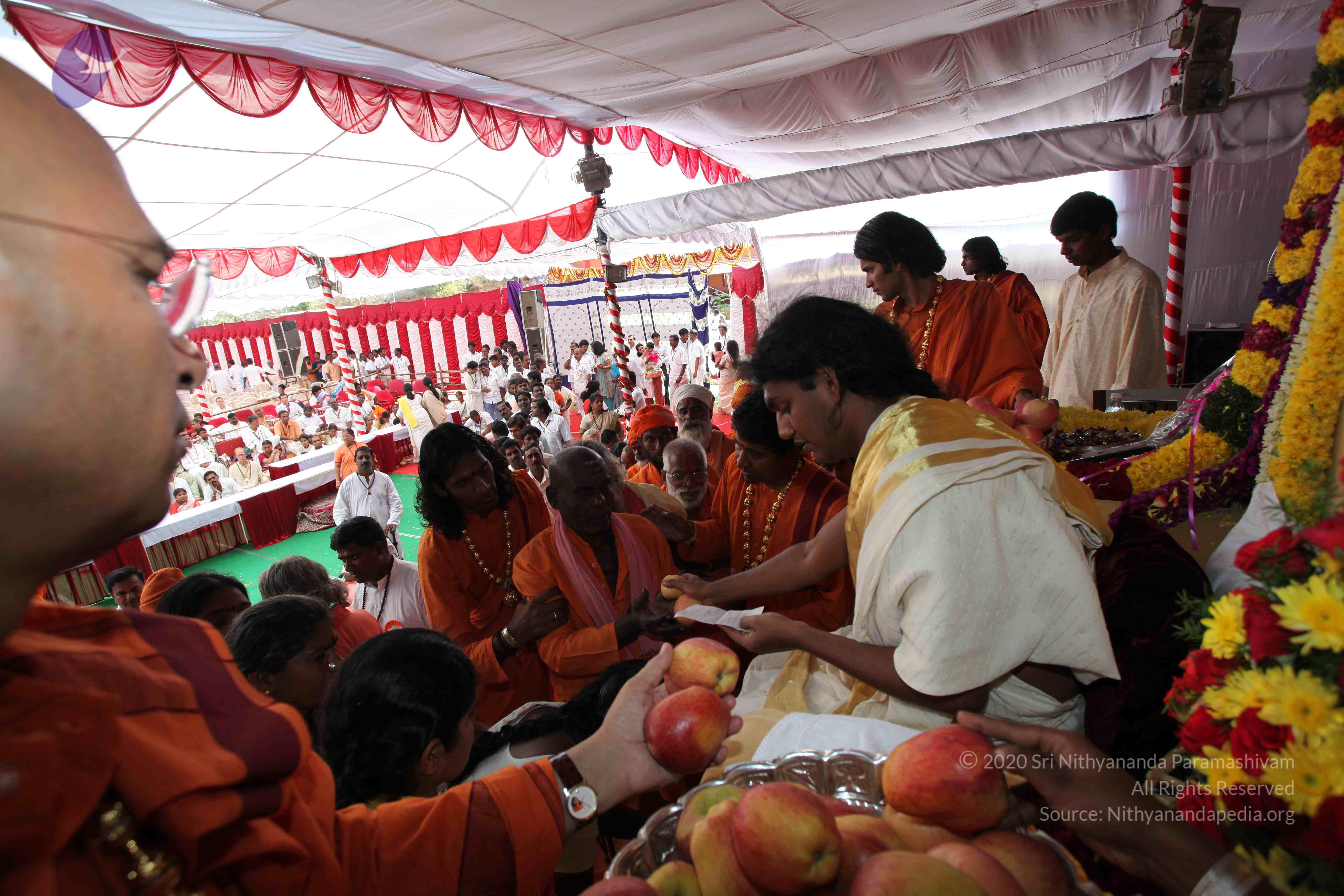 20100101_Photo_1414_IMG_5172_CMP_WM