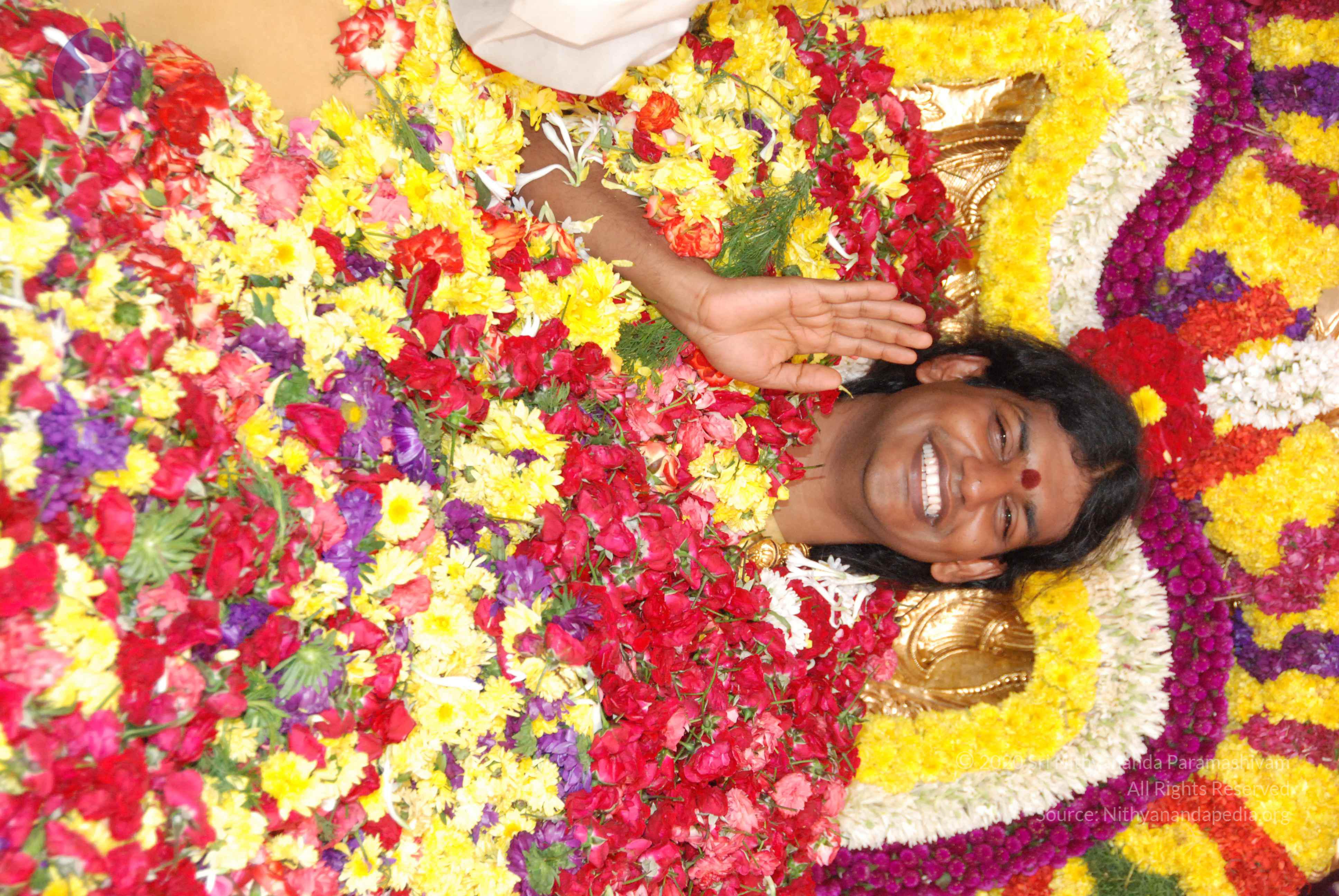 20100101_Photo_1420_DSC_2202_CMP_WM