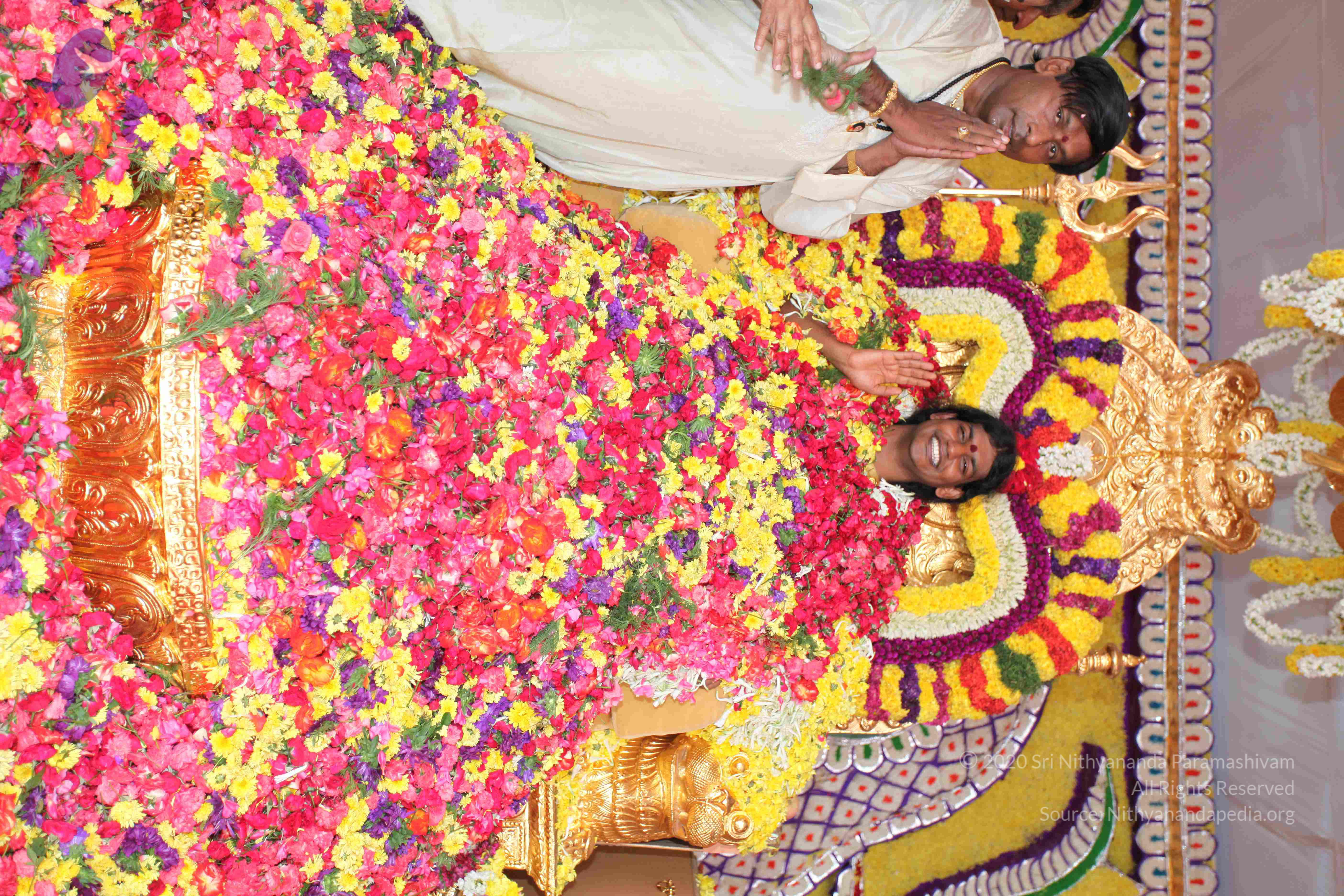 20100101_Photo_1425_IMG_5018_CMP_WM