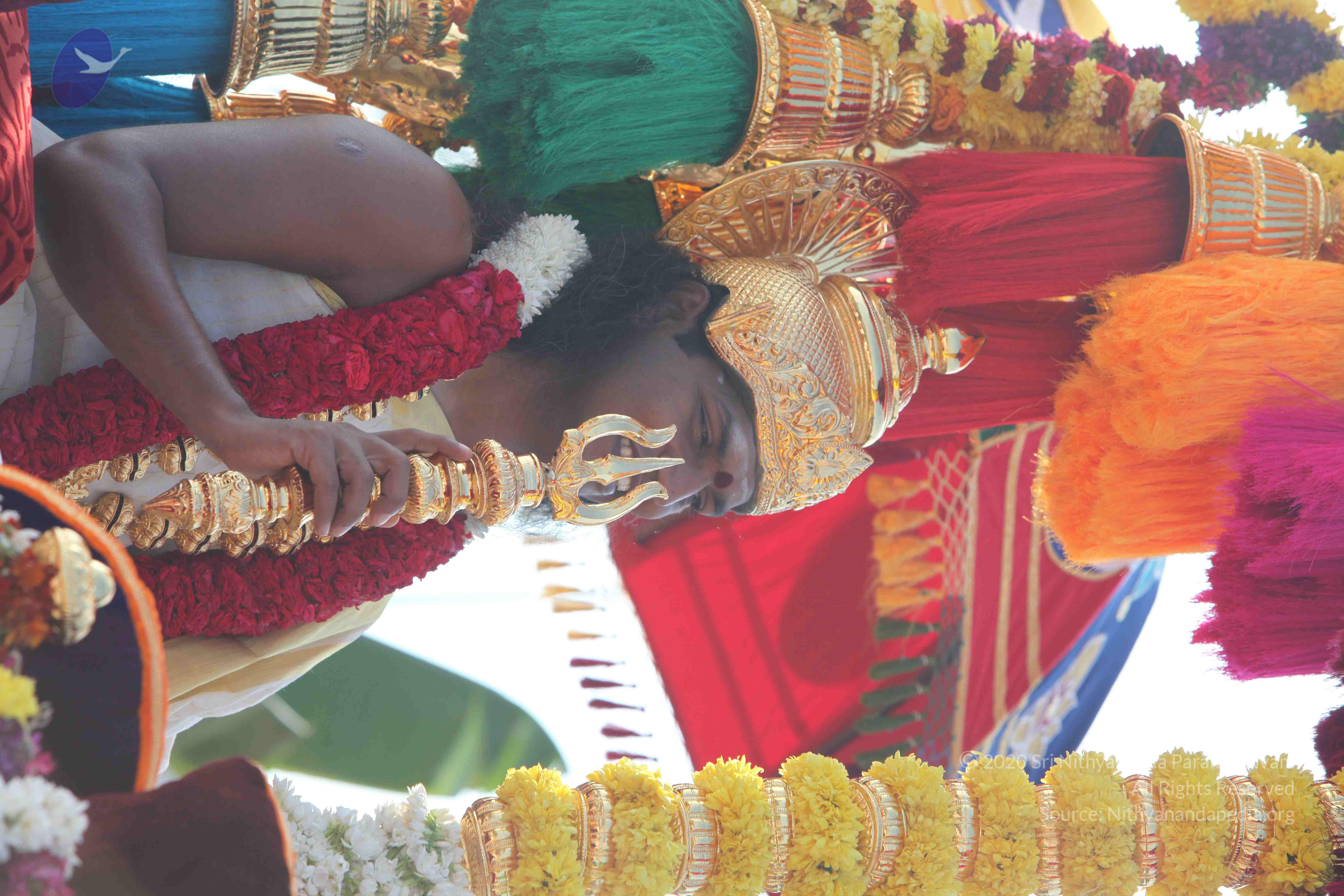 20100101_Photo_1059_IMG_4438_CMP_WM