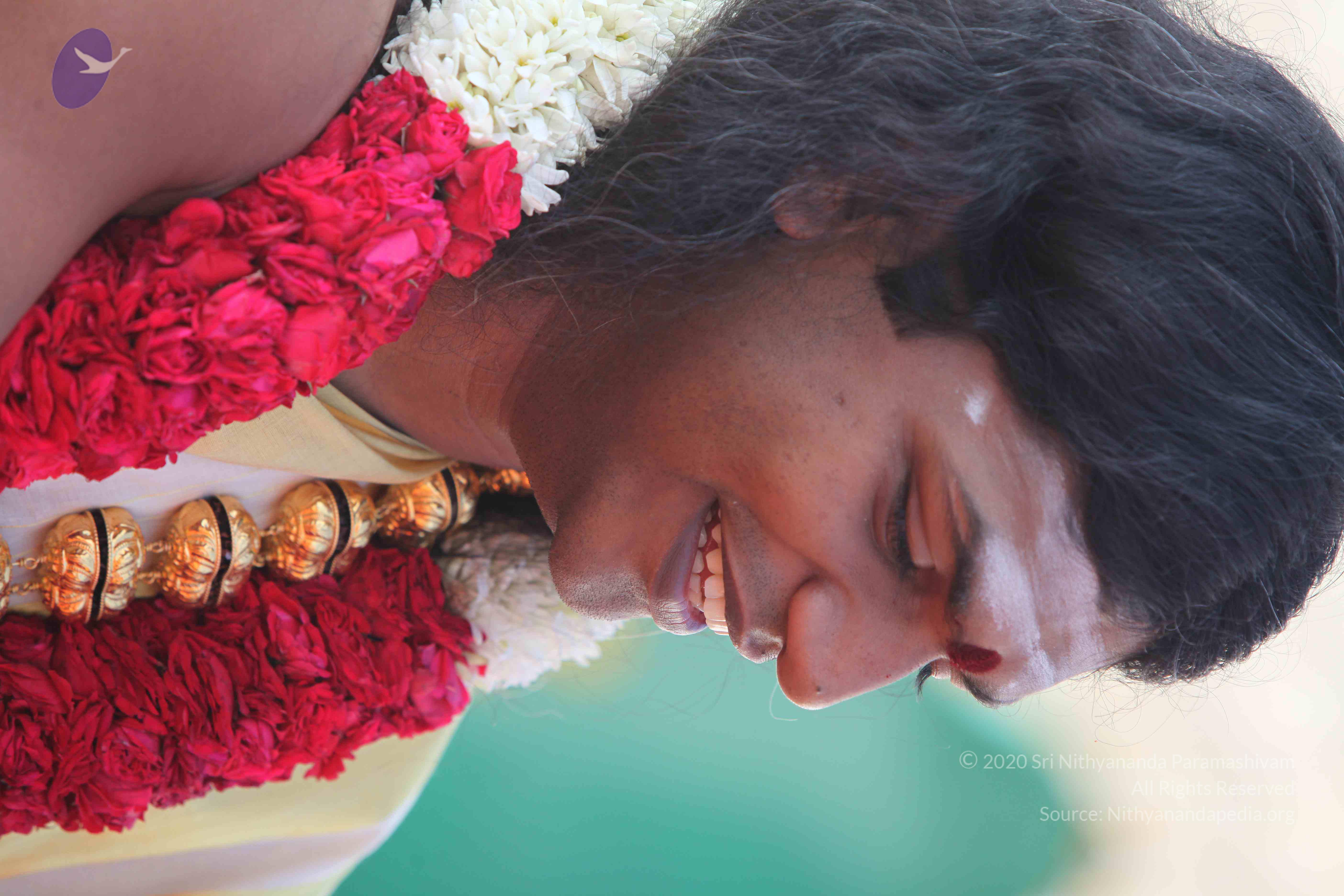 20100101_Photo_1084_IMG_4283_CMP_WM