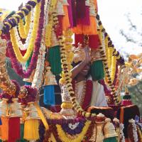 20100101_Photo_1095_IMG_4640_CMP_WM