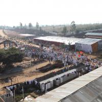 20100101_Photo_1123_IMG_4465_CMP_WM