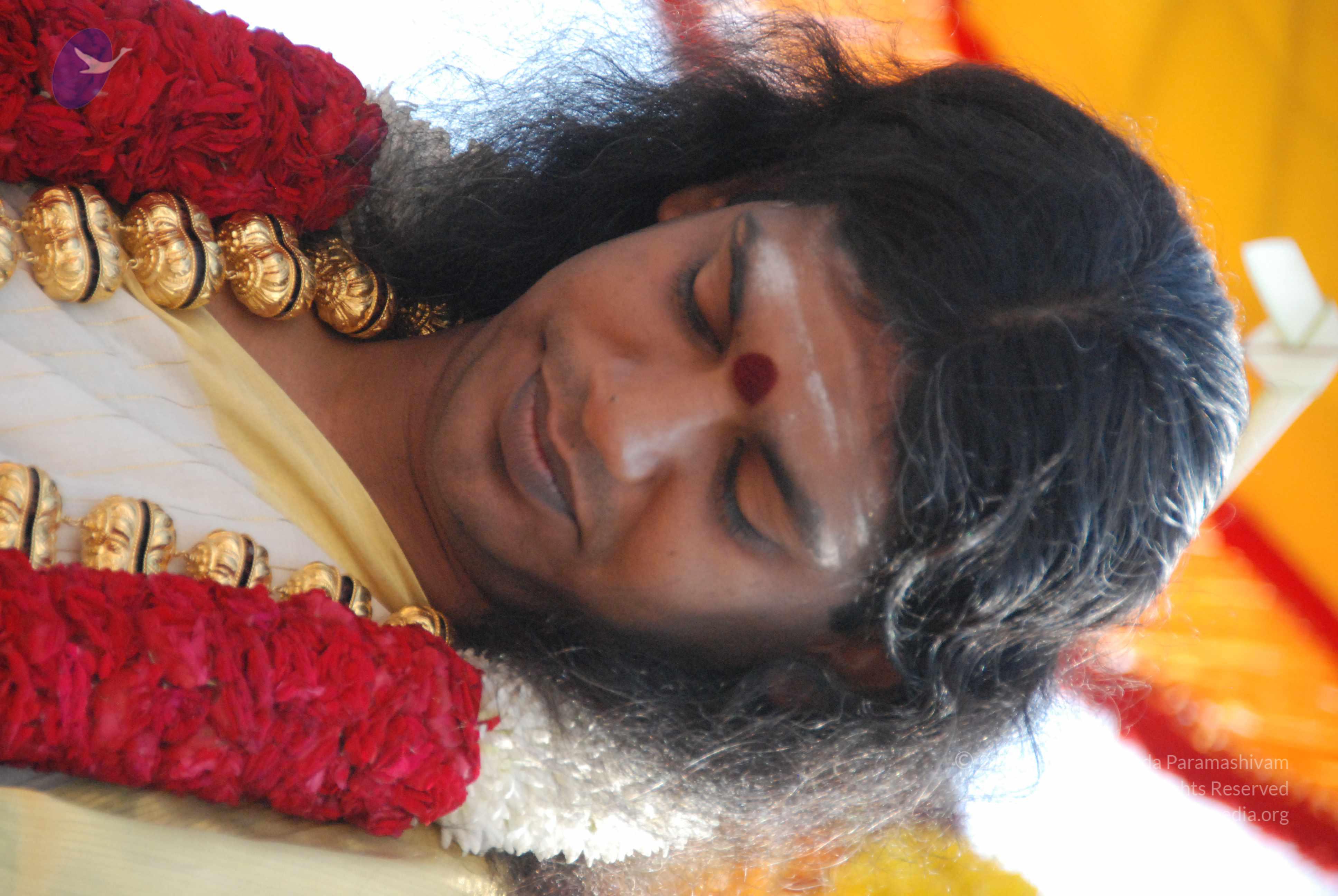 20100101_Photo_1135_DSC_1810_CMP_WM