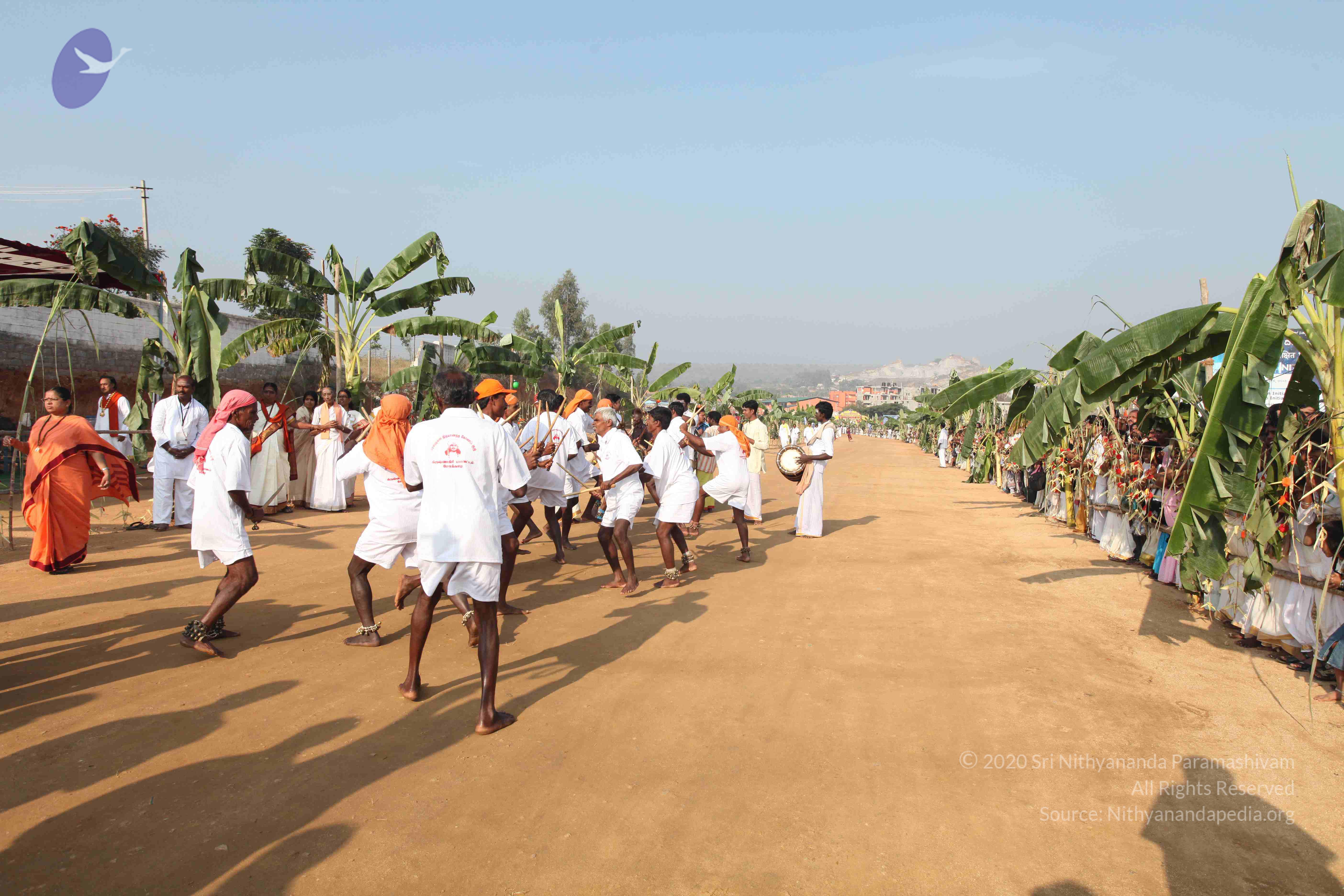 20100101_Photo_1141_IMG_4355_CMP_WM