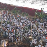 20100101_Photo_1149_IMG_4481_CMP_WM