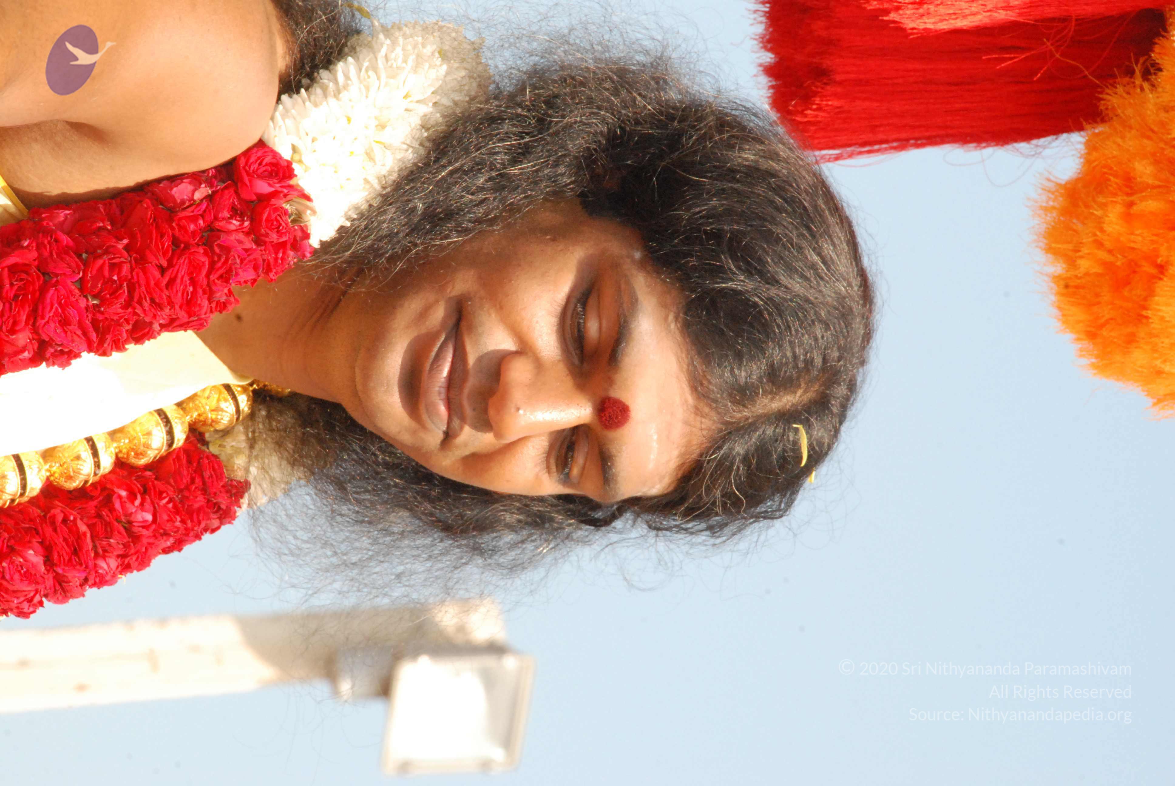 20100101_Photo_1198_DSC_1922_CMP_WM