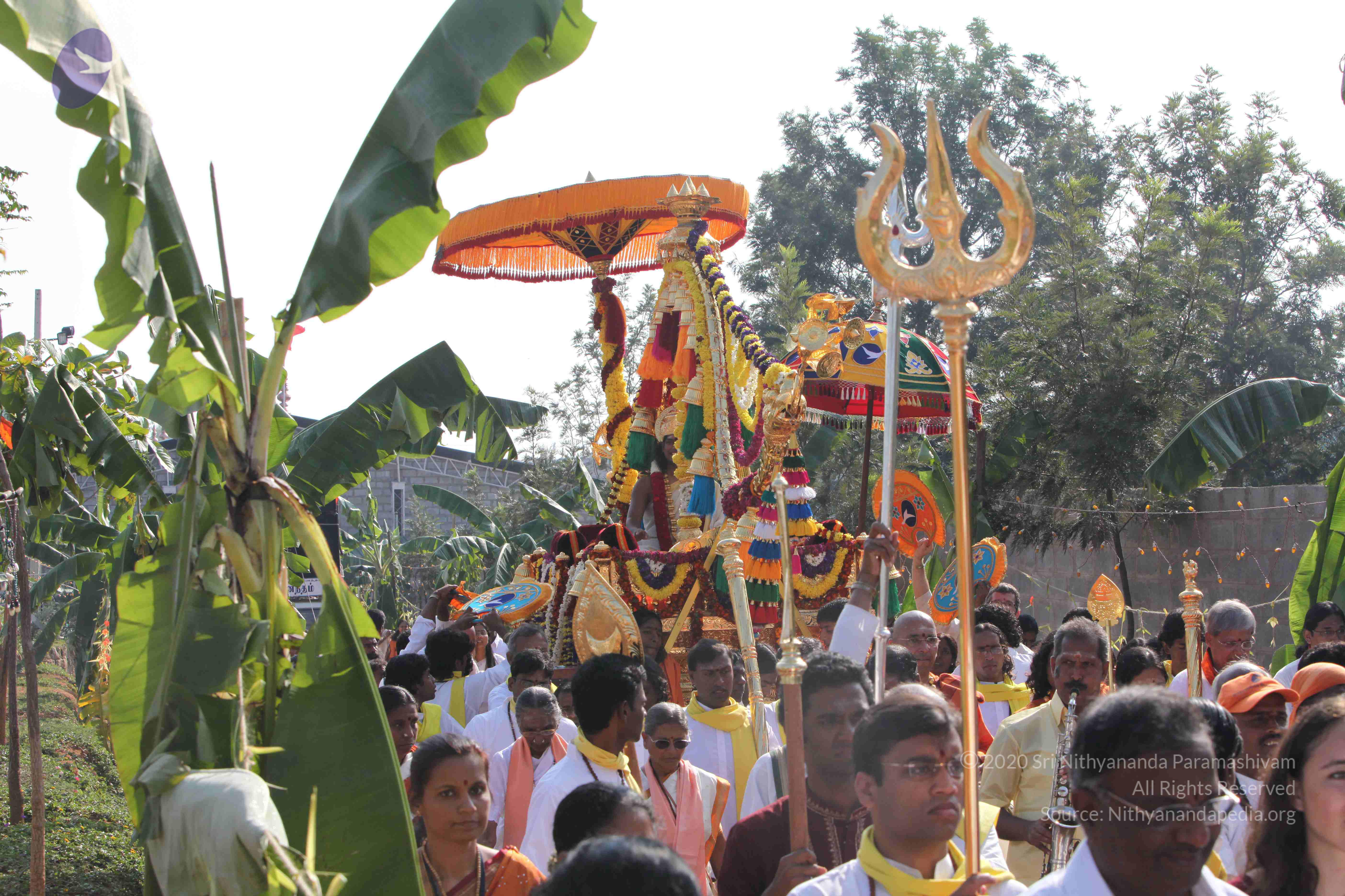 20100101_Photo_1224_IMG_4500_CMP_WM