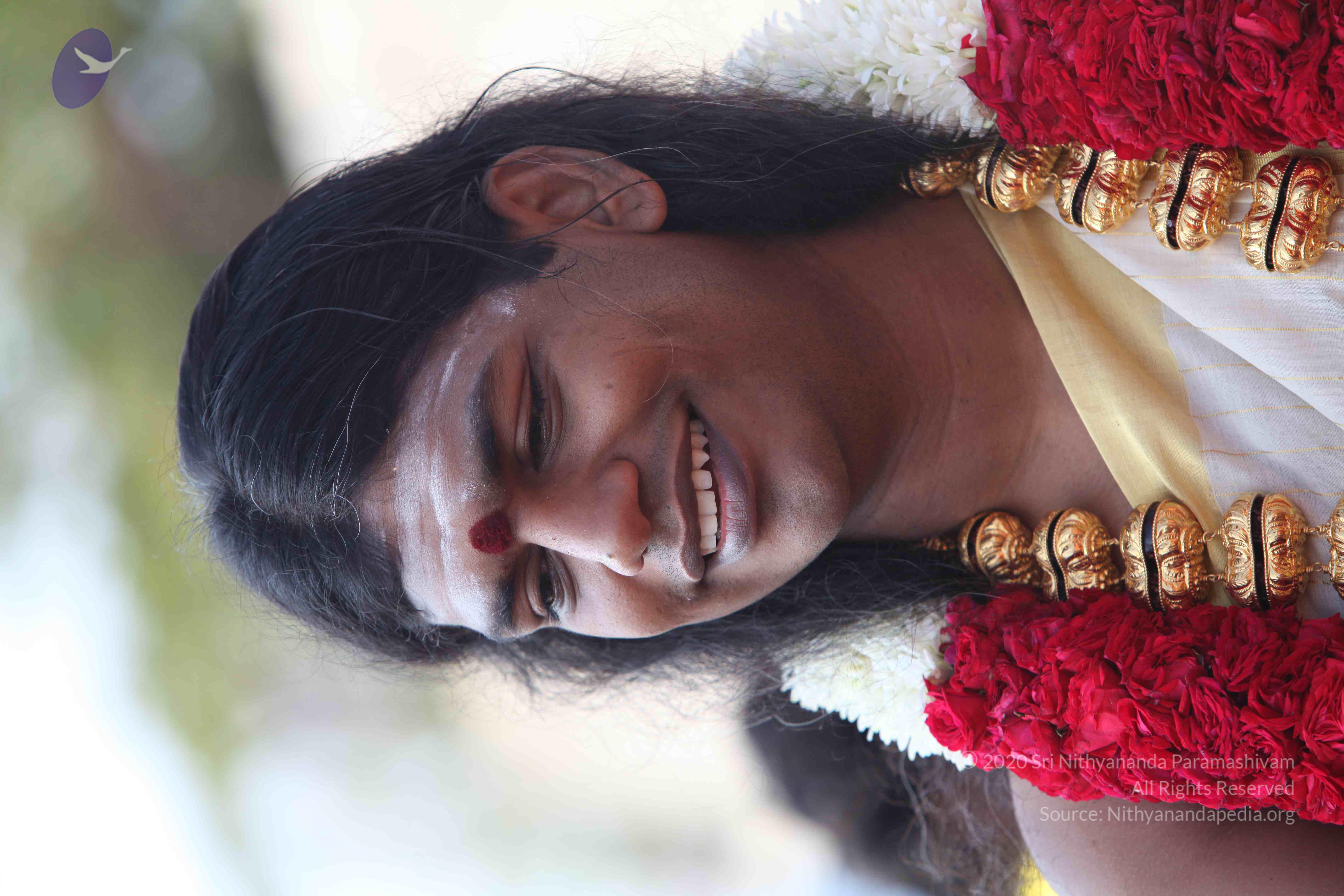 20100101_Photo_1237_IMG_4273_CMP_WM