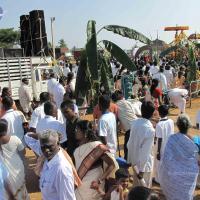 20100101_Photo_1278_IMG_1675_CMP_WM