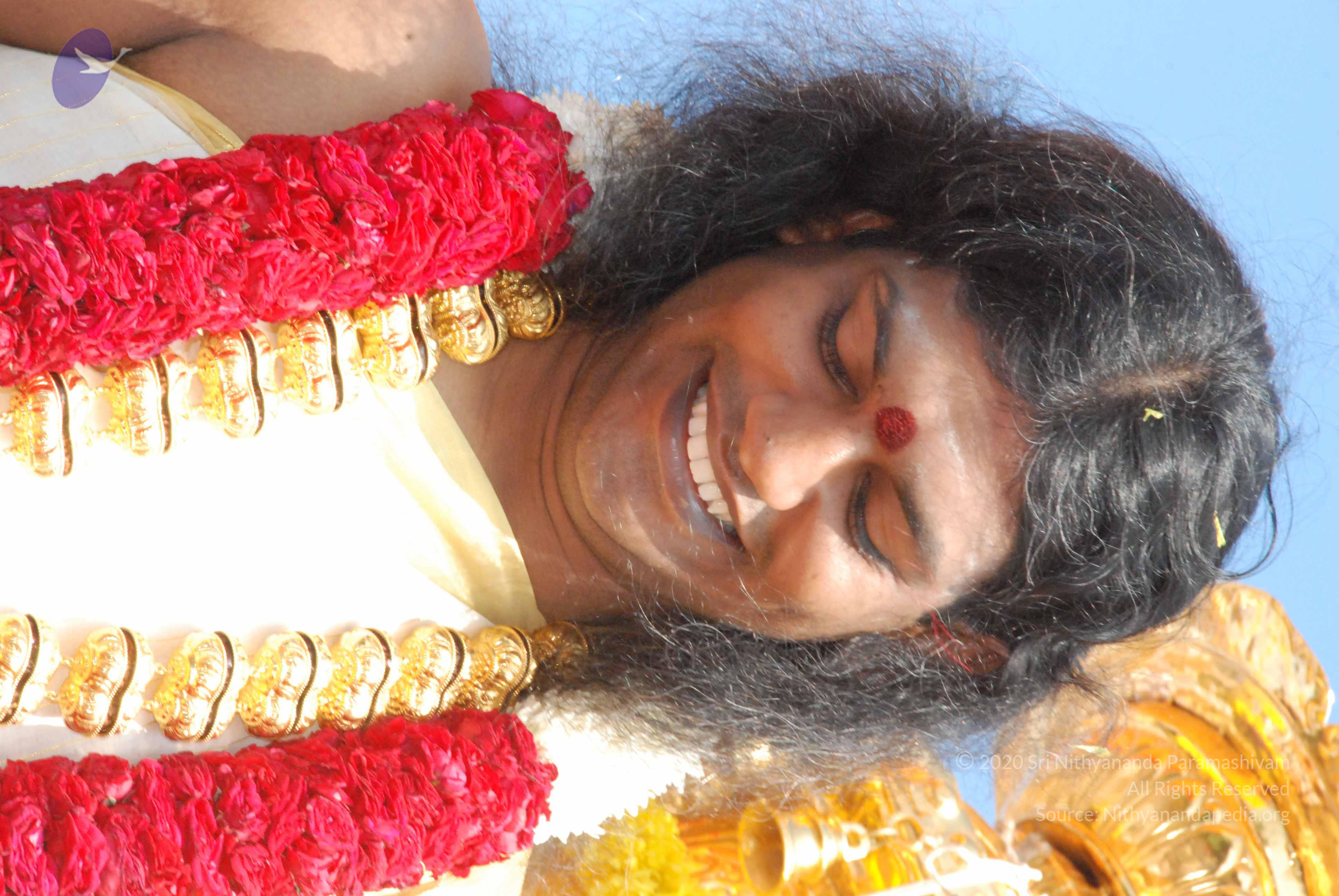 20100101_Photo_1281_DSC_1924_CMP_WM