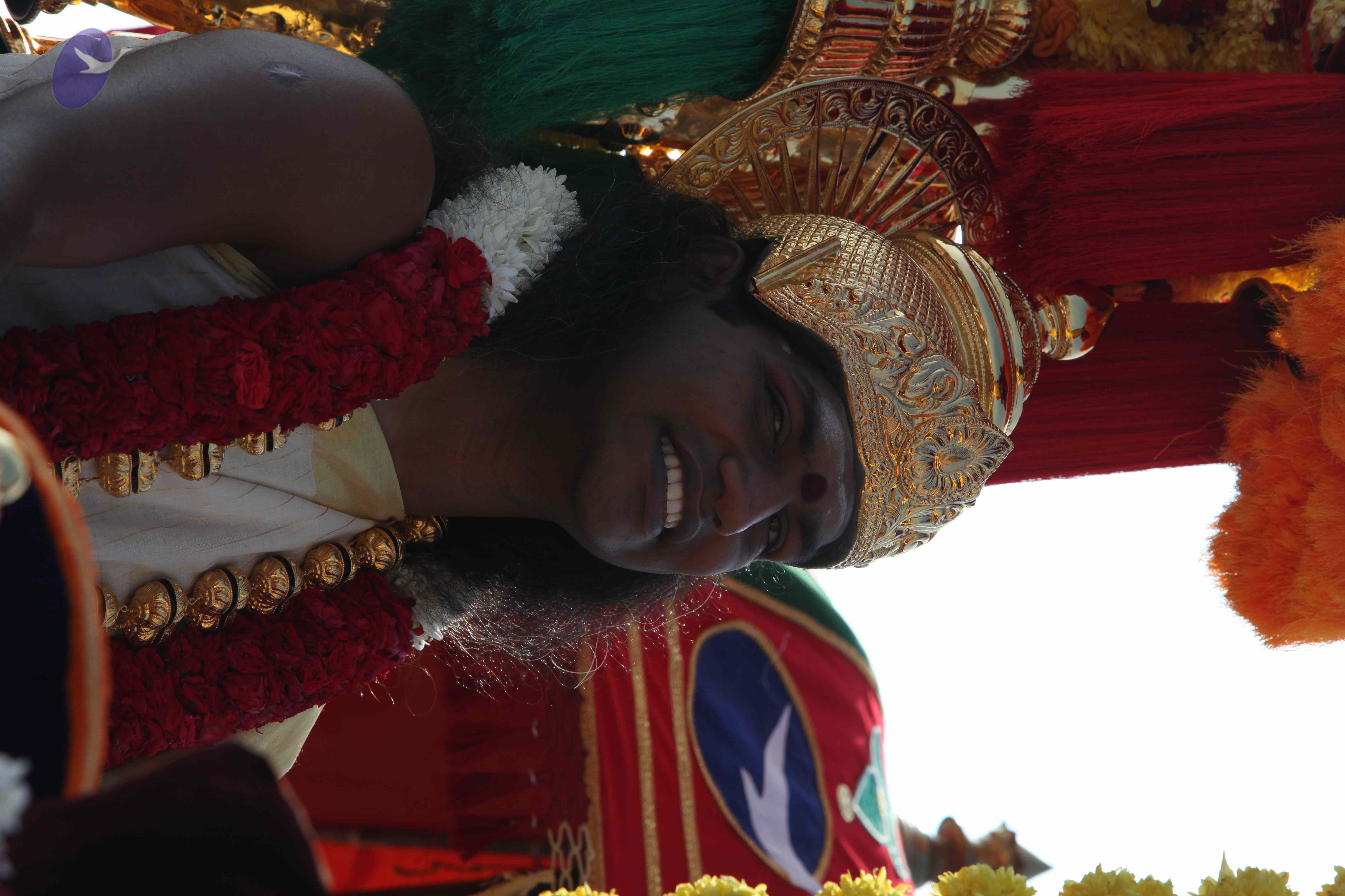 20100101_Photo_1324_IMG_4431_CMP_WM