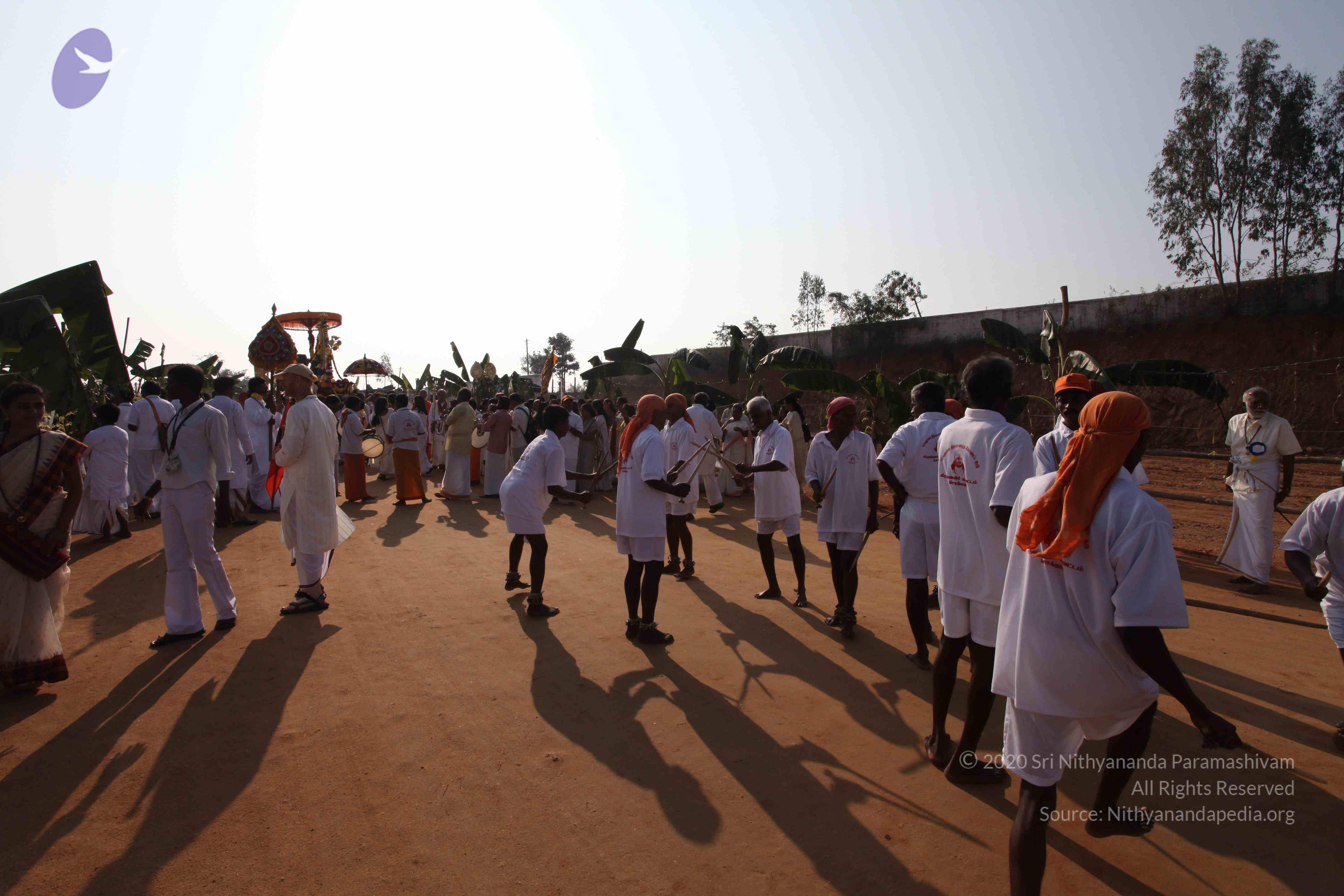 20100101_Photo_1357_IMG_4403_CMP_WM