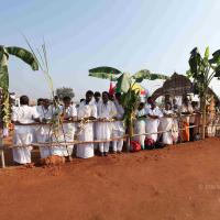 20100101_Photo_1374_IMG_4325_CMP_WM