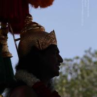 20100101_Photo_1378_IMG_4658_CMP_WM