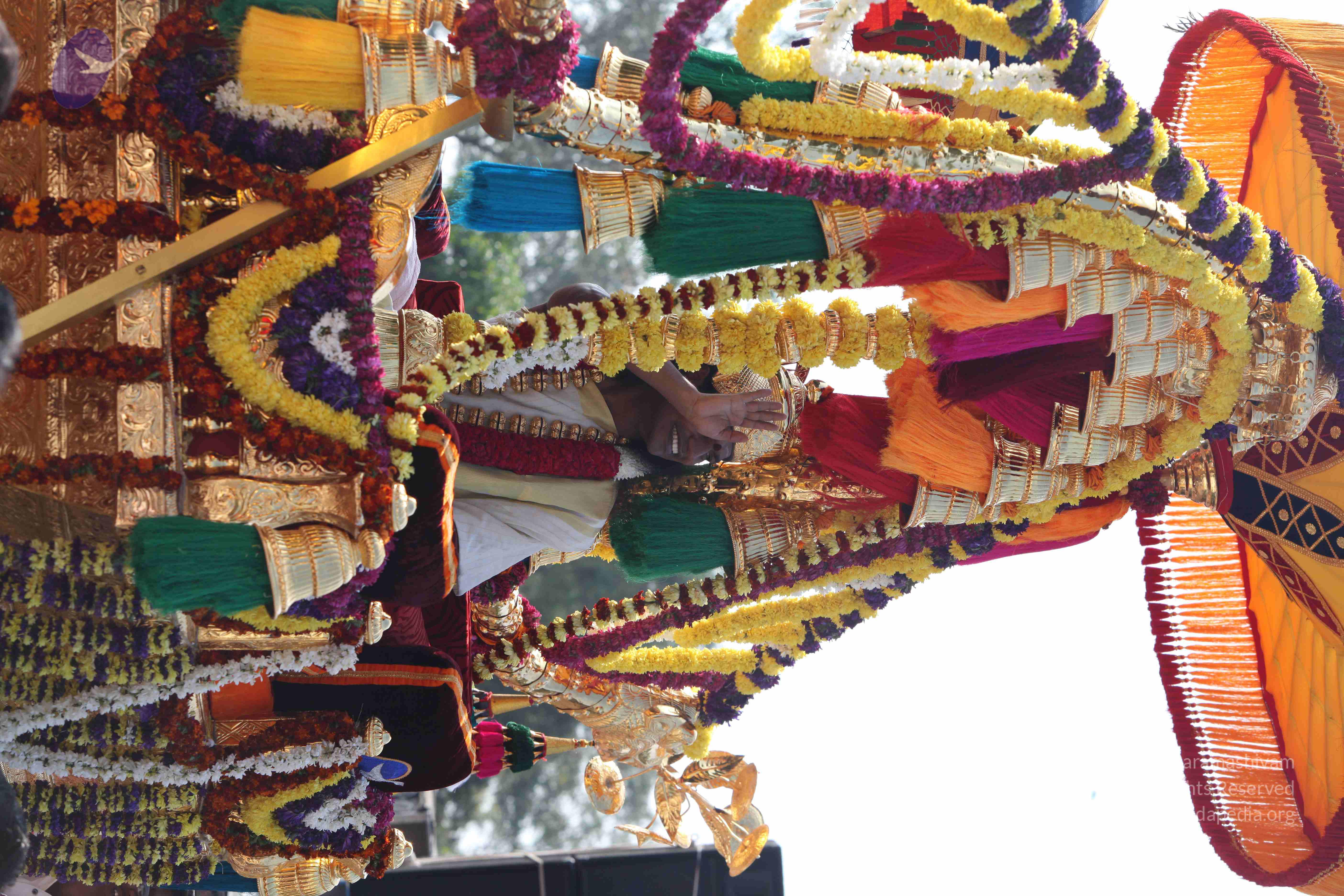 20100101_Photo_1395_IMG_4644_CMP_WM