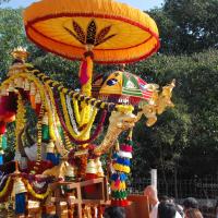 20100101_Photo_1403_DSC_1884_CMP_WM