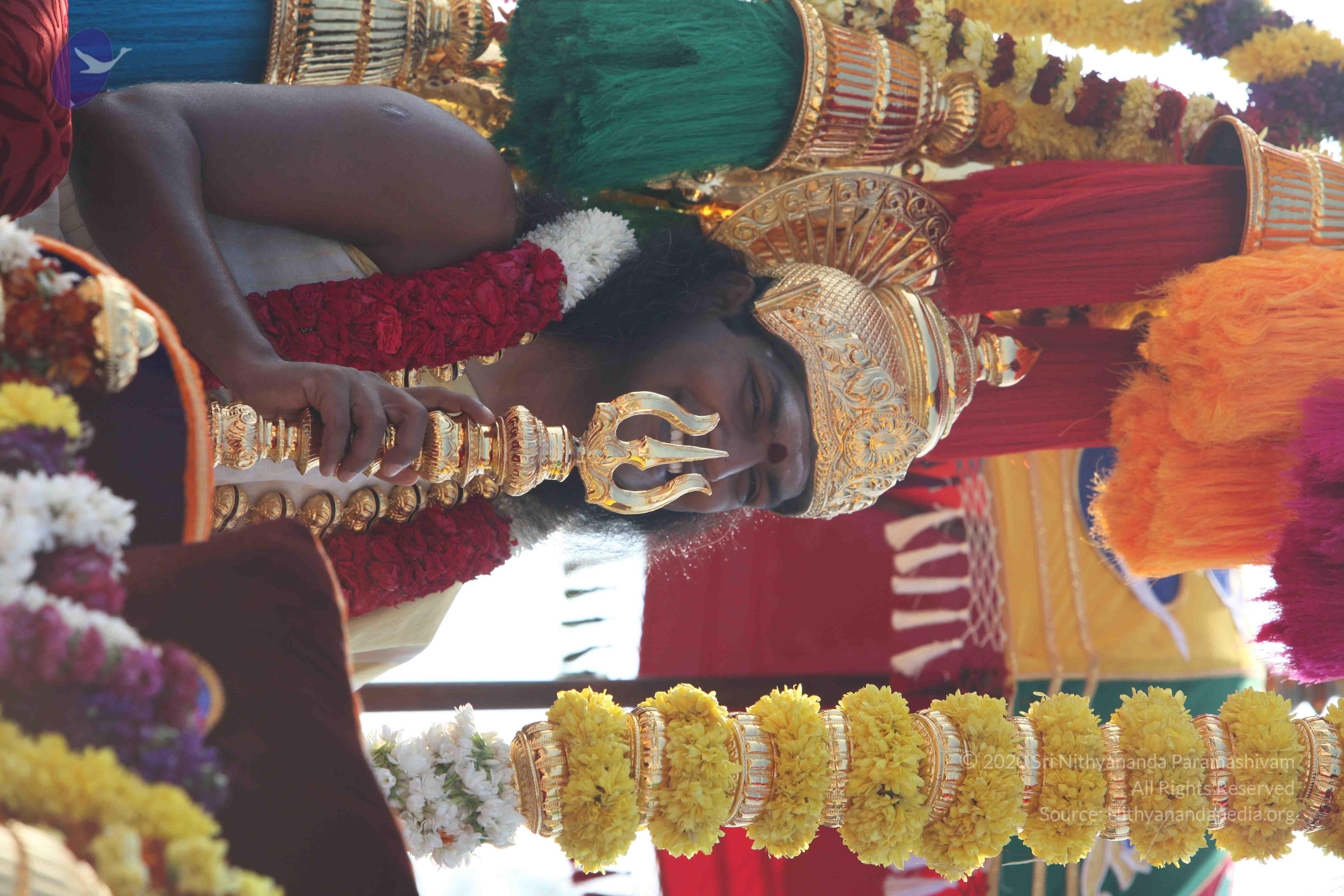 20100101_Photo_1417_IMG_4440_CMP_WM