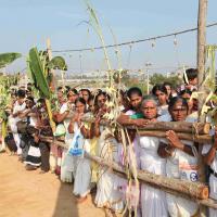 20100101_Photo_1424_IMG_4415_CMP_WM