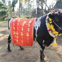 20100101_Photo_1441_IMG_4679_CMP_WM