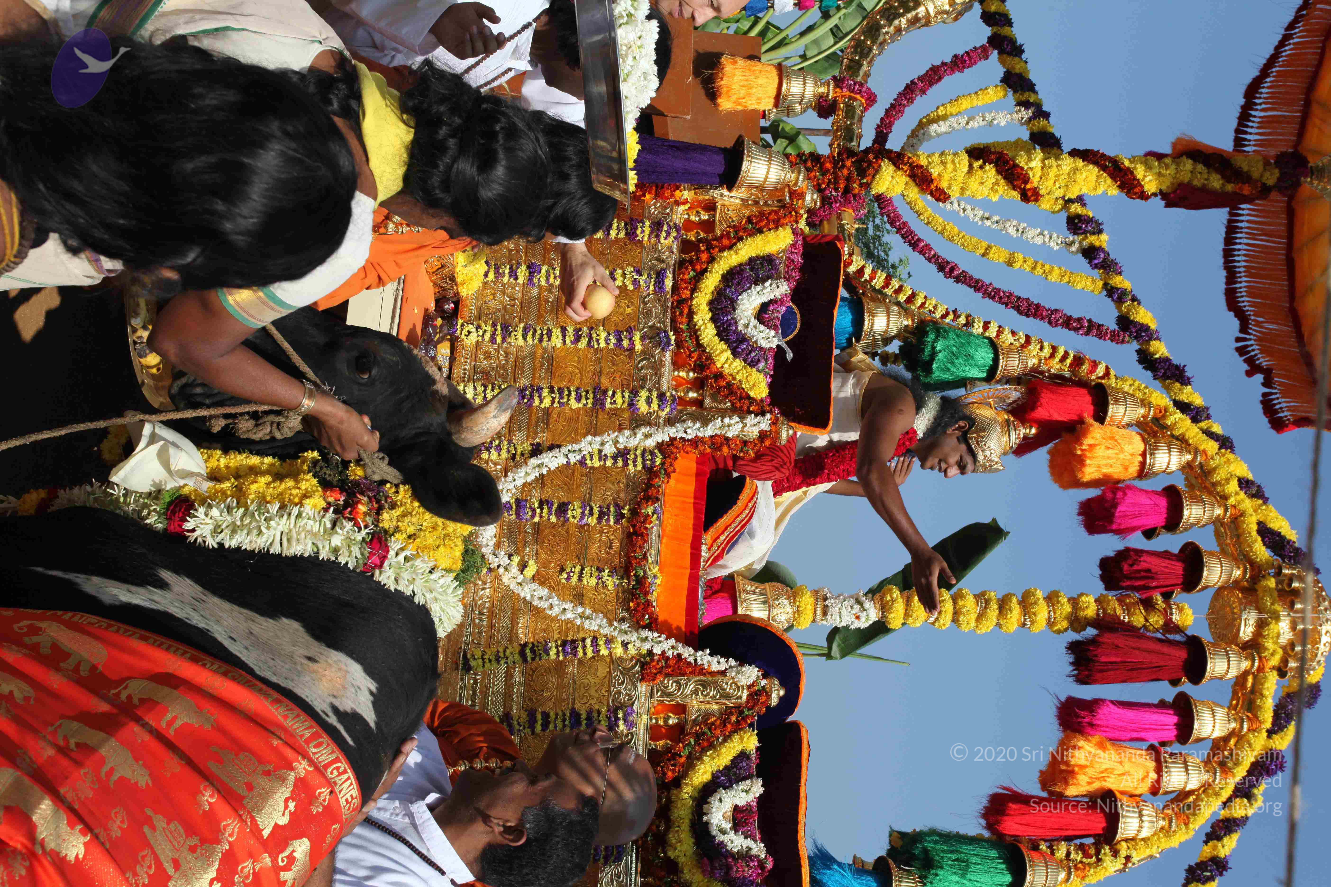 20100101_Photo_1484_IMG_4683_CMP_WM