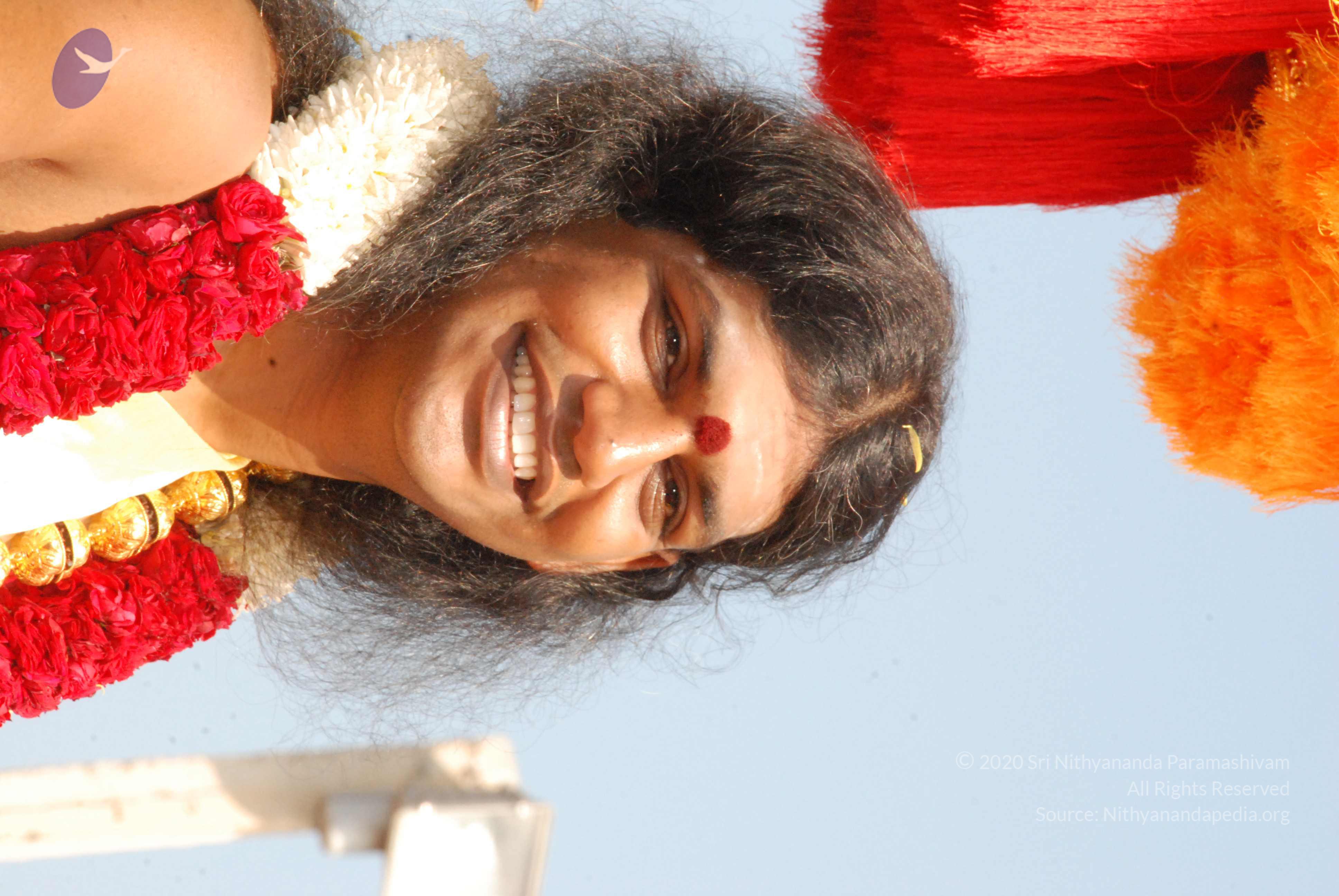 20100101_Photo_1524_DSC_1923_CMP_WM