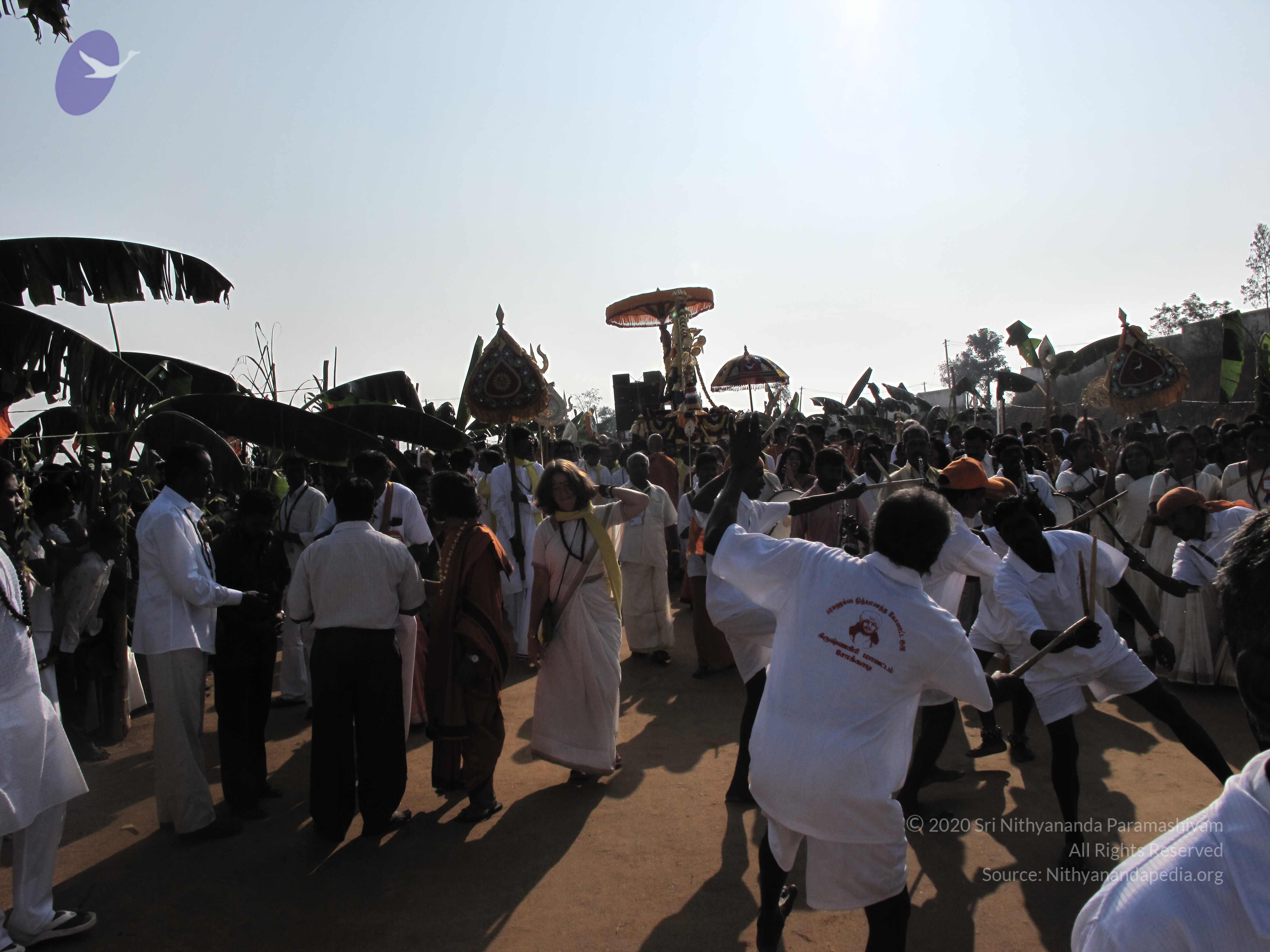 20100101_Photo_1046_IMG_1388_CMP_WM