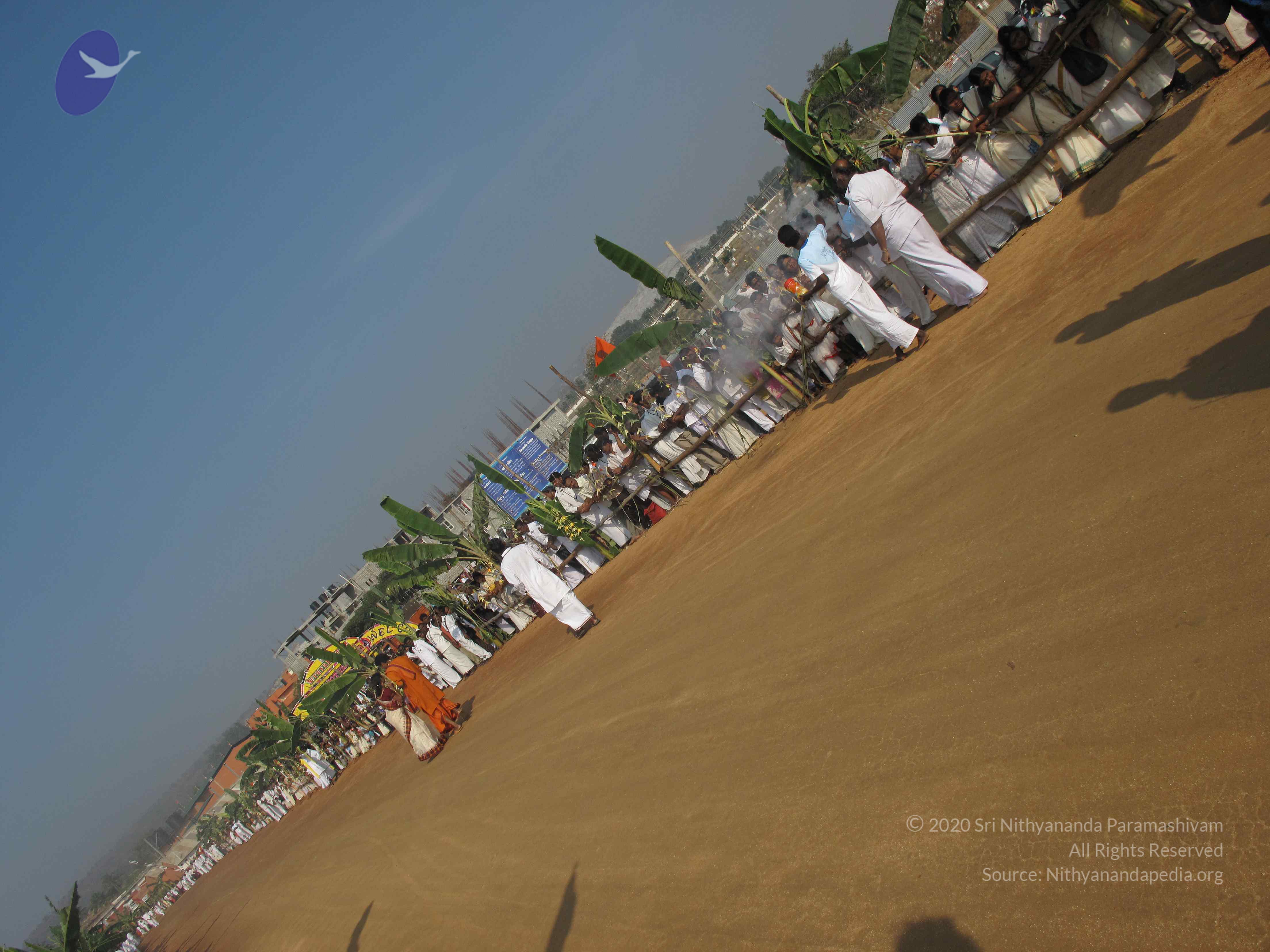 20100101_Photo_1068_IMG_1399_CMP_WM