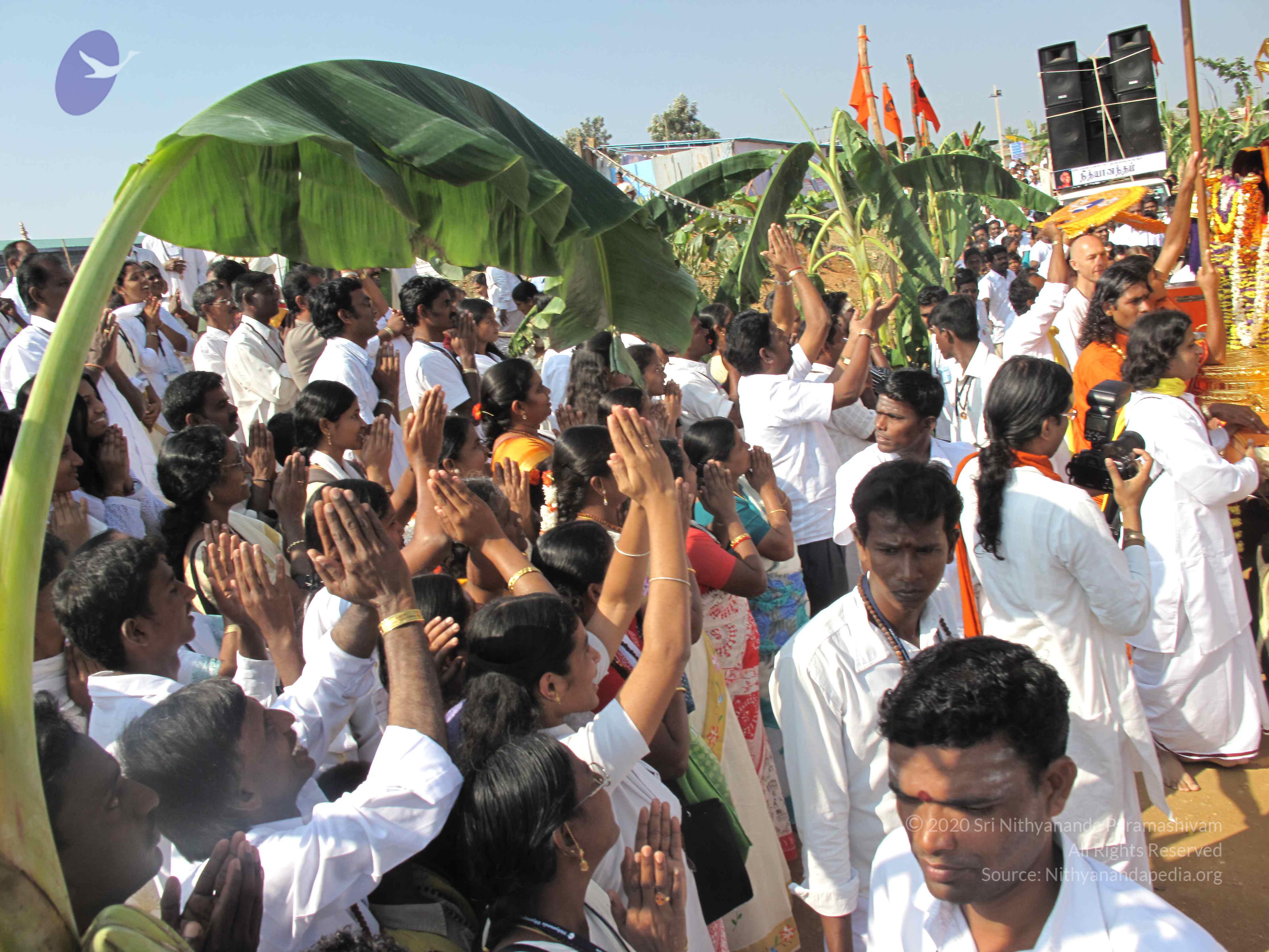 20100101_Photo_1082_IMG_1655_CMP_WM