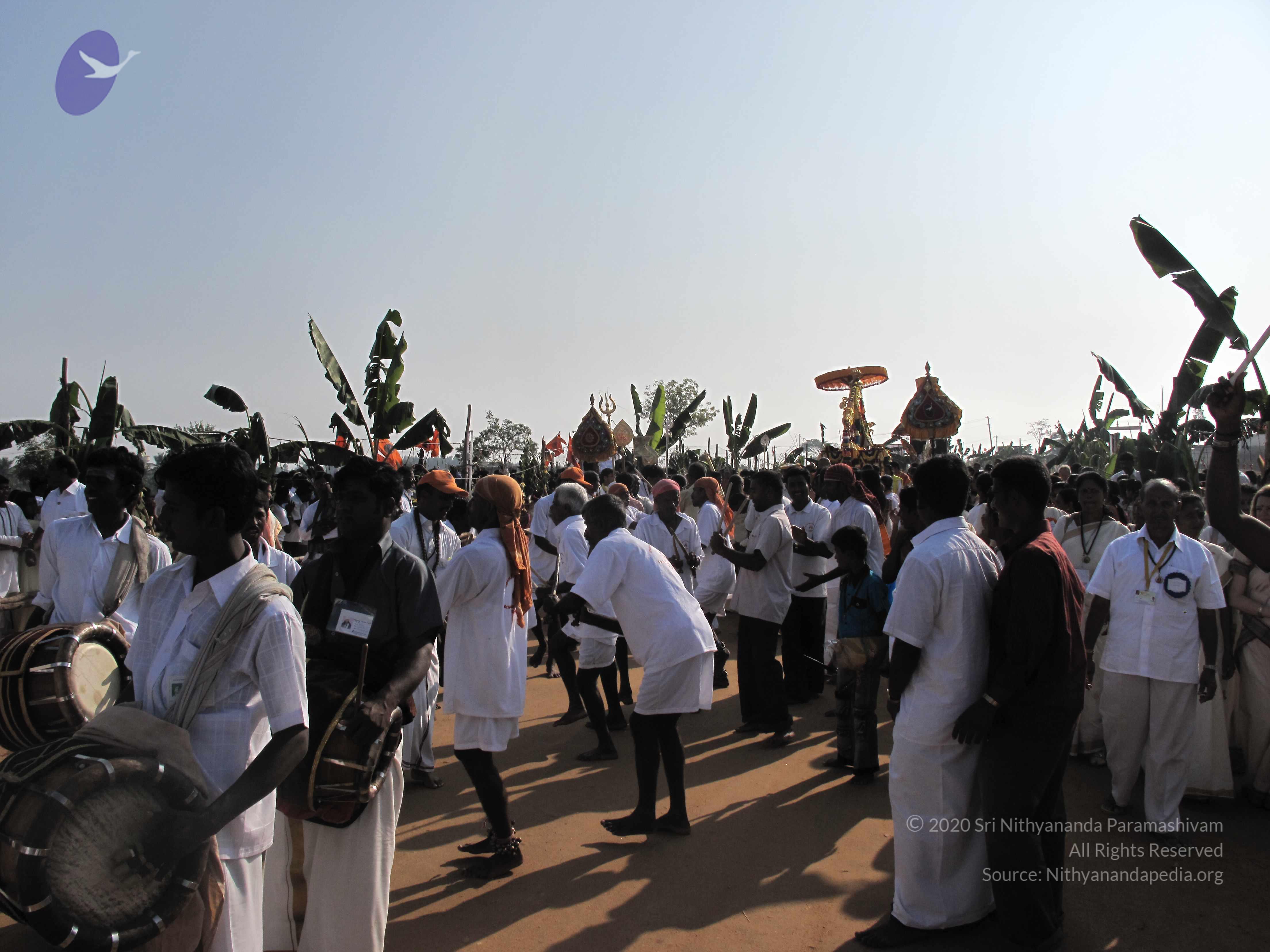 20100101_Photo_1089_IMG_1403_CMP_WM