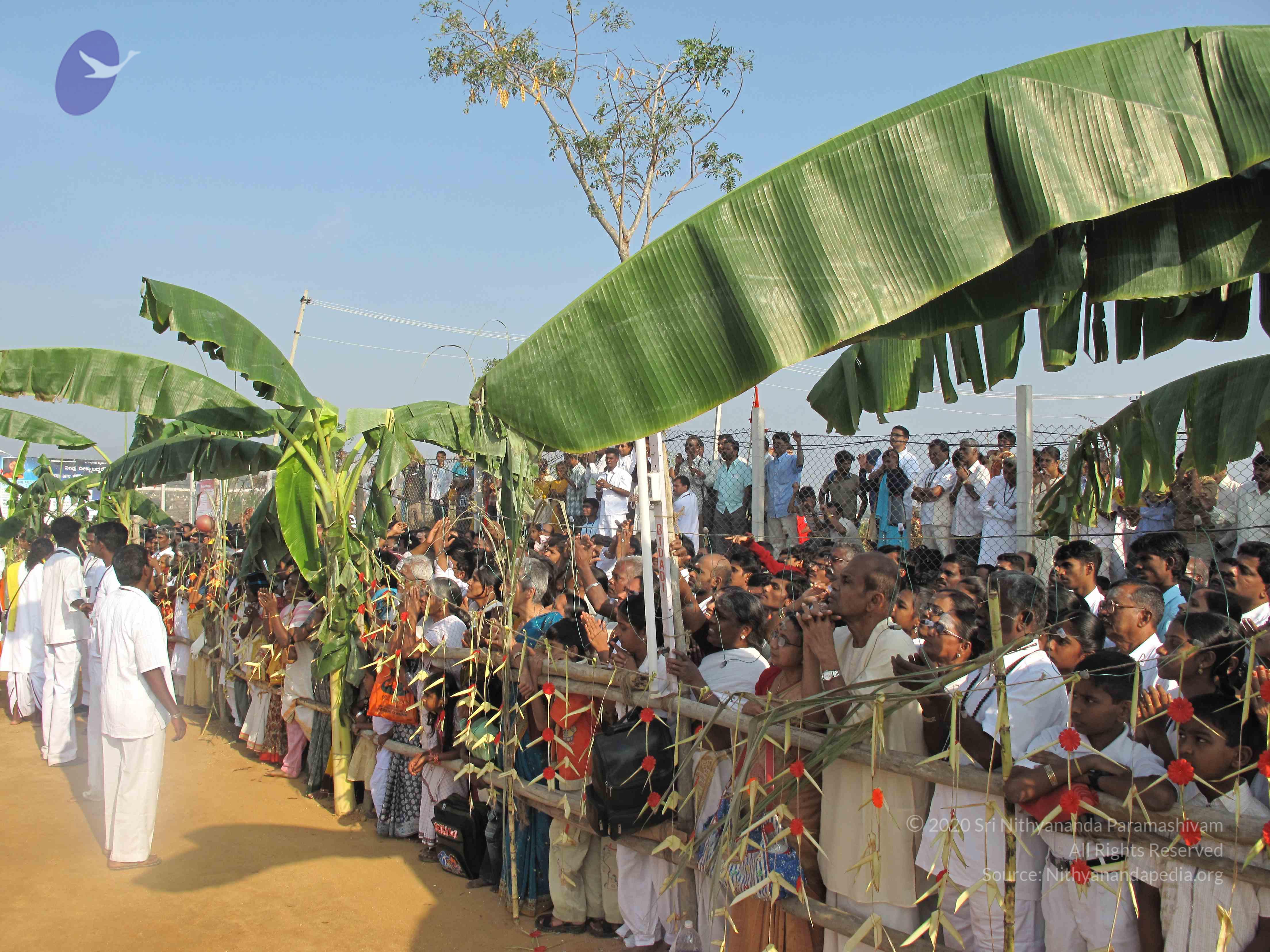 20100101_Photo_1101_IMG_1325_CMP_WM