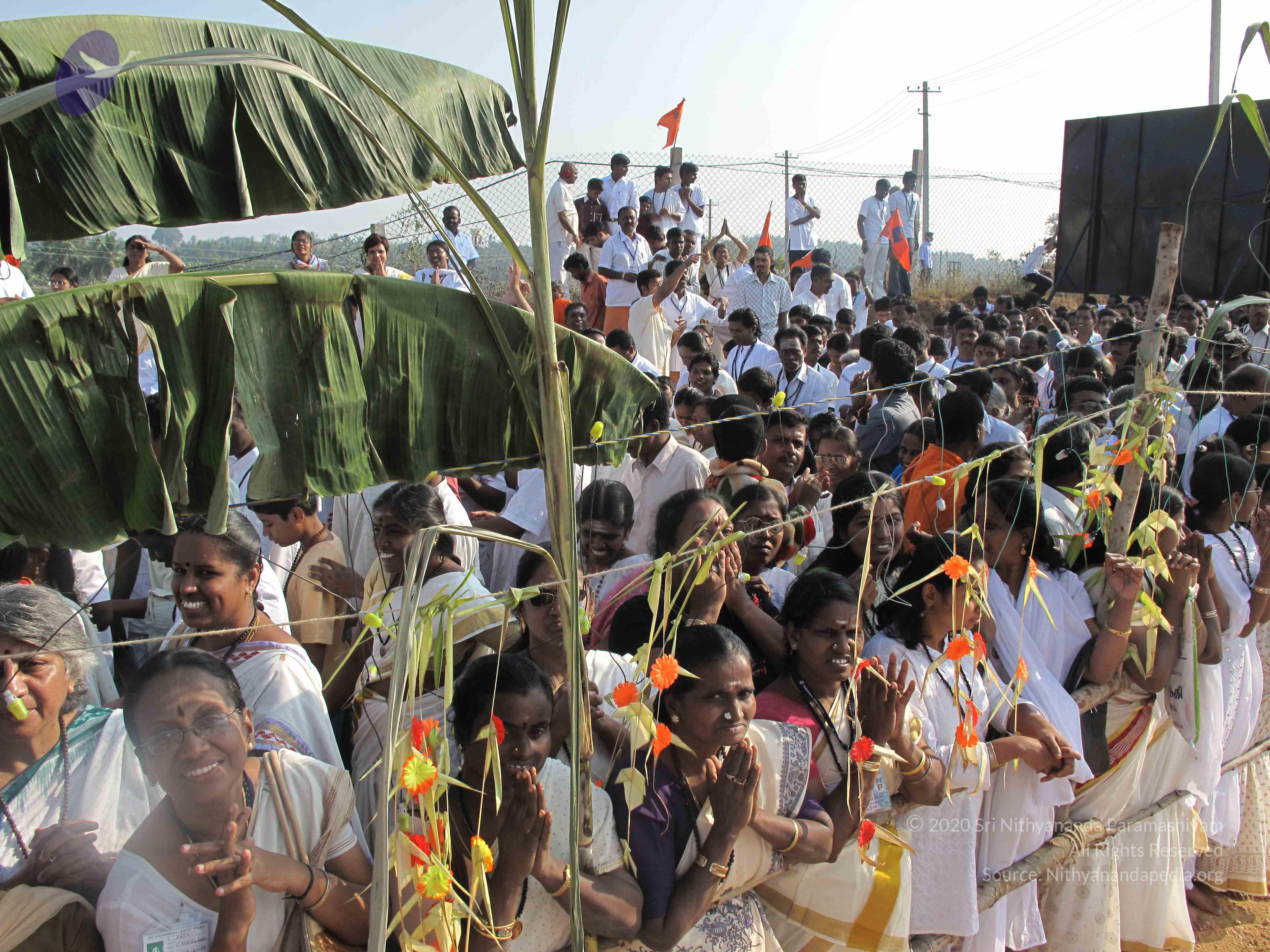 20100101_Photo_1124_IMG_1342_CMP_WM