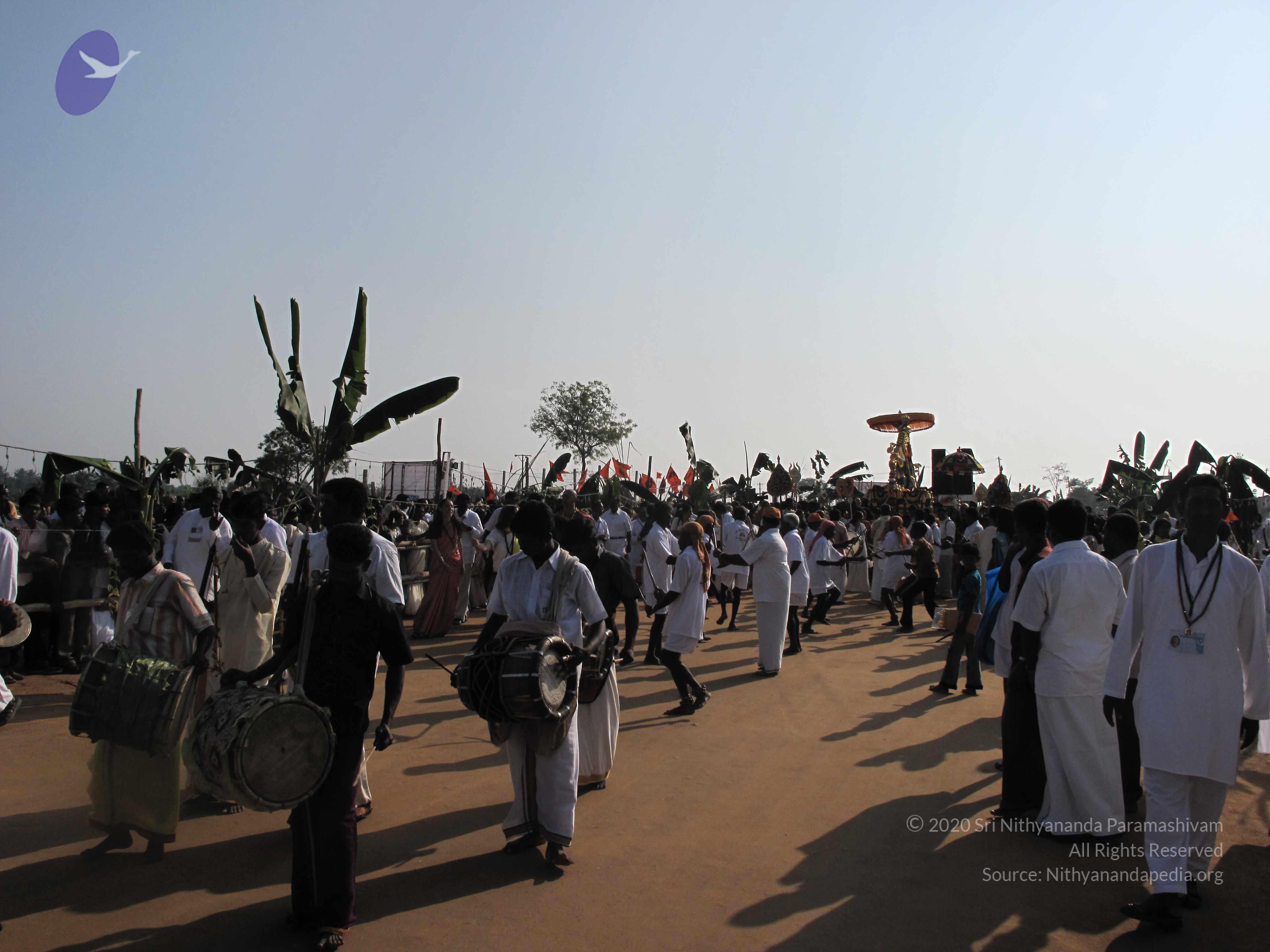 20100101_Photo_1127_IMG_1396_CMP_WM