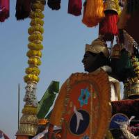 20100101_Photo_1131_IMG_1369_CMP_WM