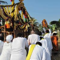 20100101_Photo_1151_IMG_1464_CMP_WM