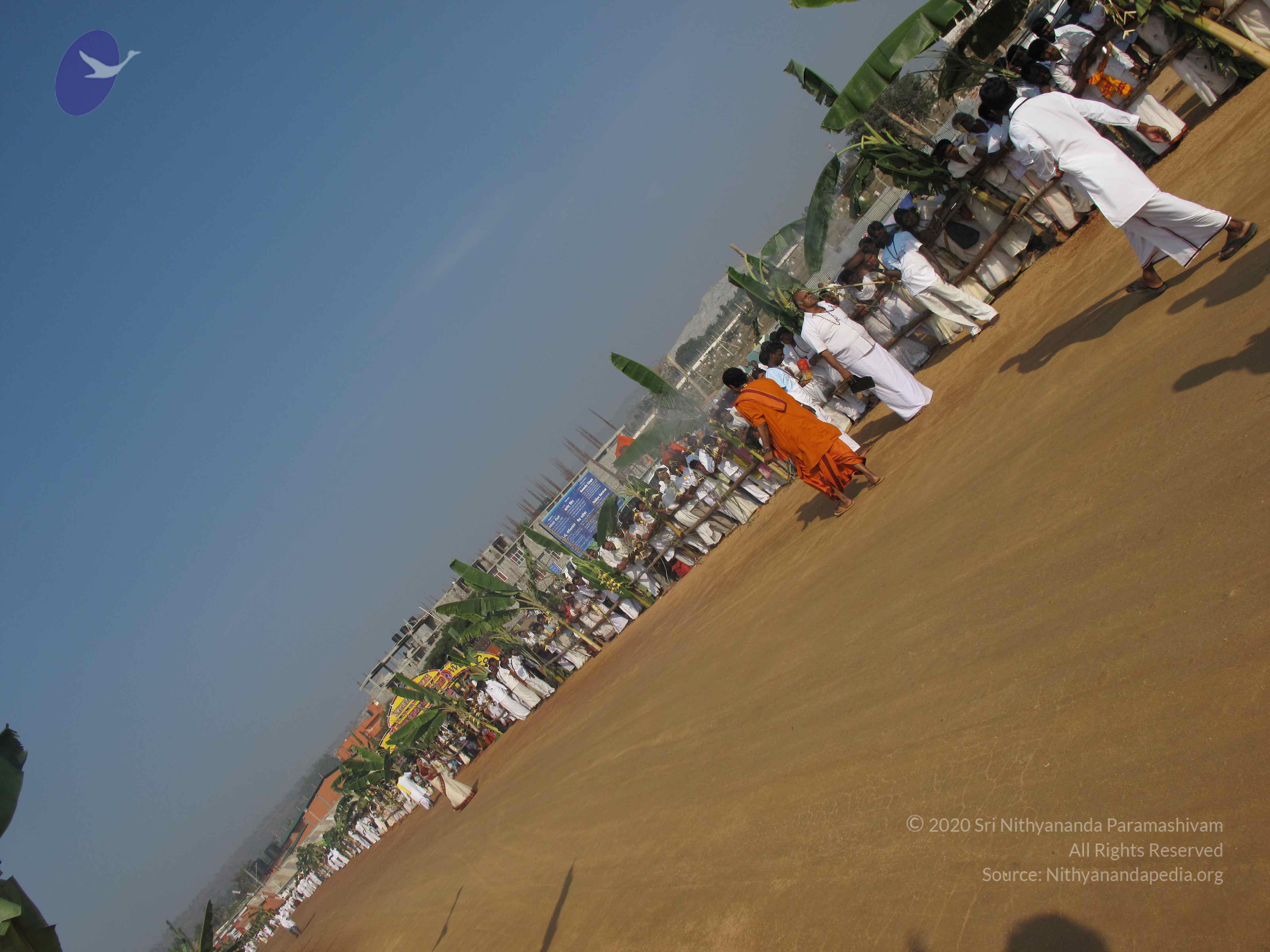 20100101_Photo_1176_IMG_1398_CMP_WM