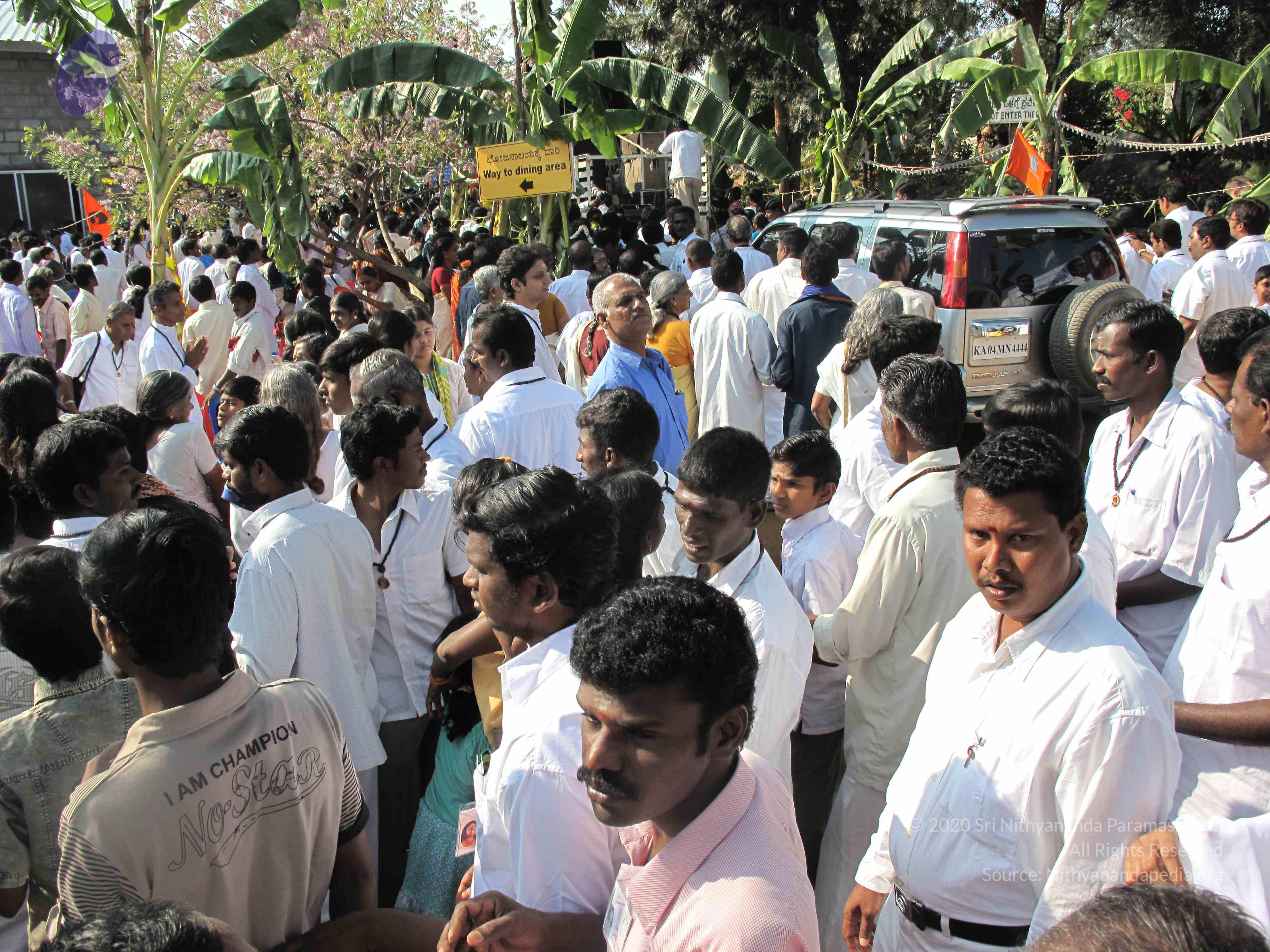 20100101_Photo_1203_IMG_1455_CMP_WM