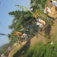 20100101_Photo_1212_IMG_1603_CMP_WM