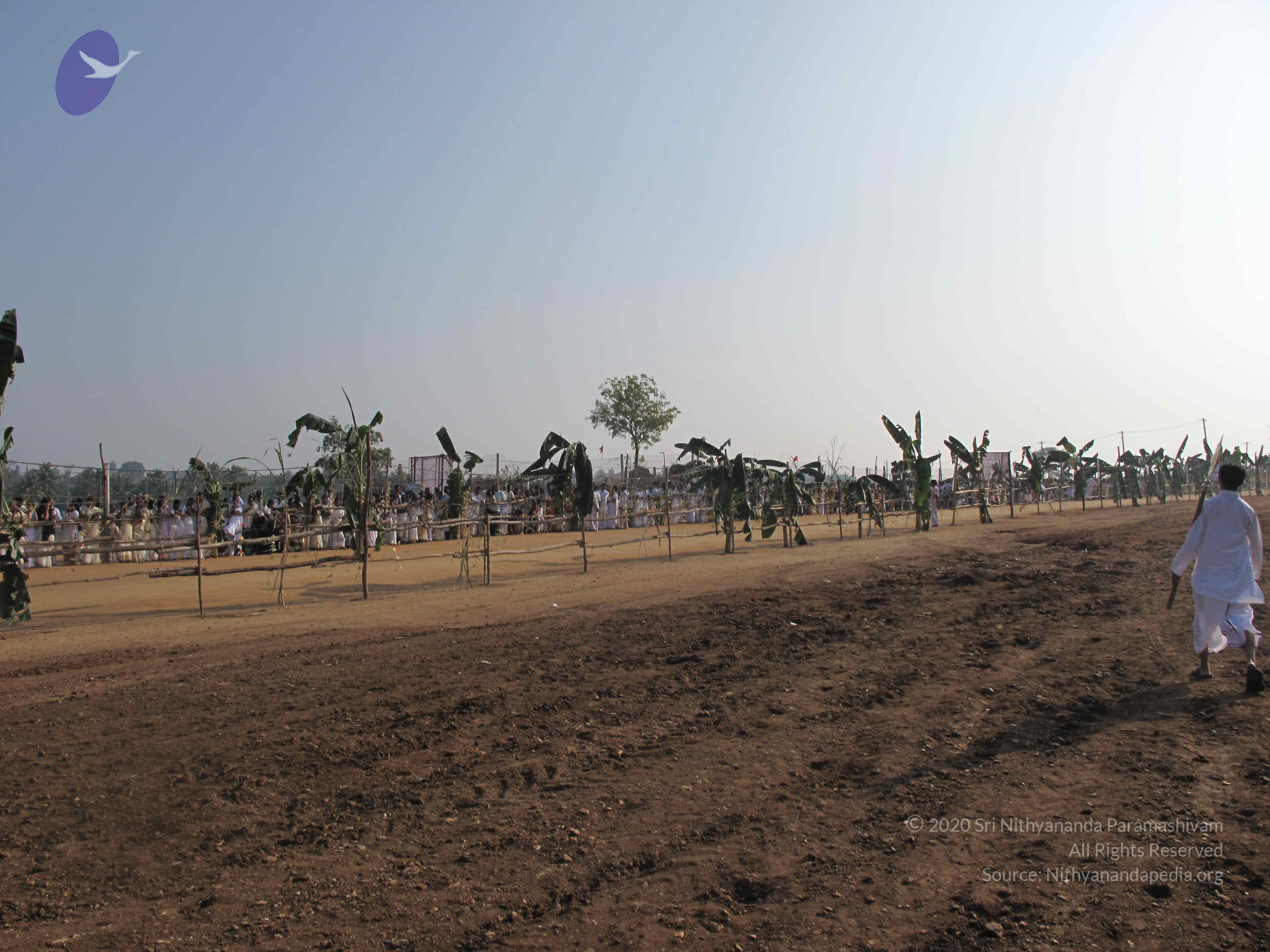 20100101_Photo_1216_IMG_1295_CMP_WM