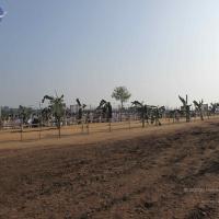 20100101_Photo_1216_IMG_1295_CMP_WM