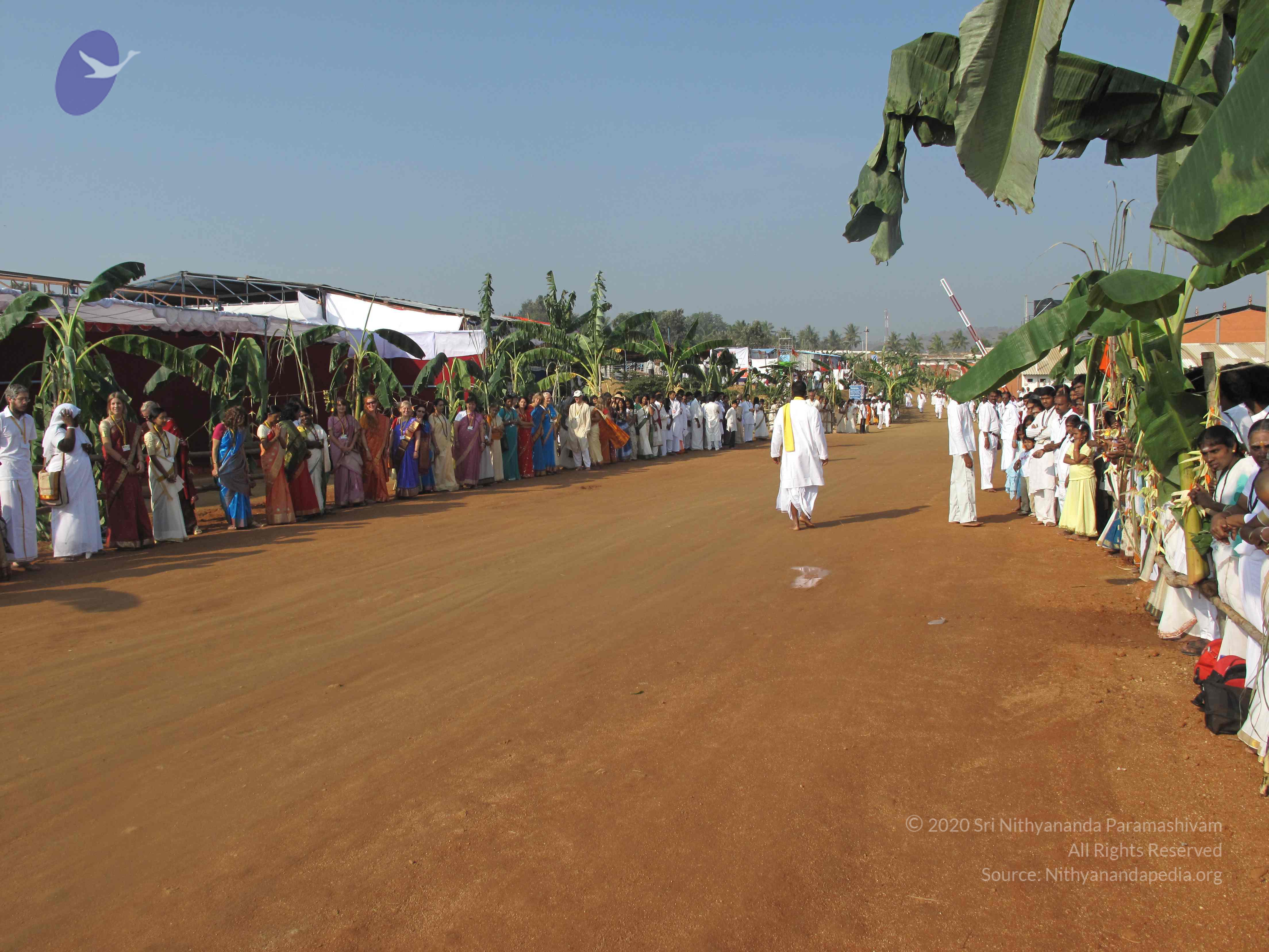 20100101_Photo_1235_IMG_1411_CMP_WM